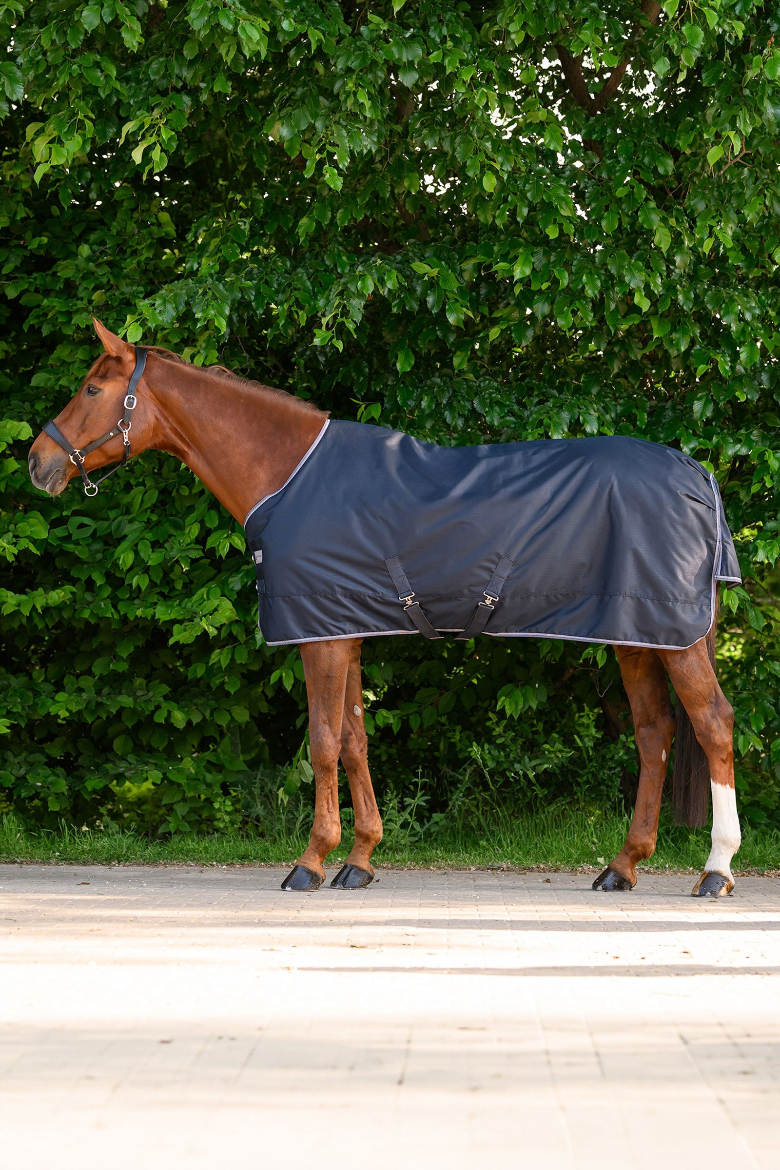 Waldhausen ECONOMIC lichte outdoordeken Paardendekens