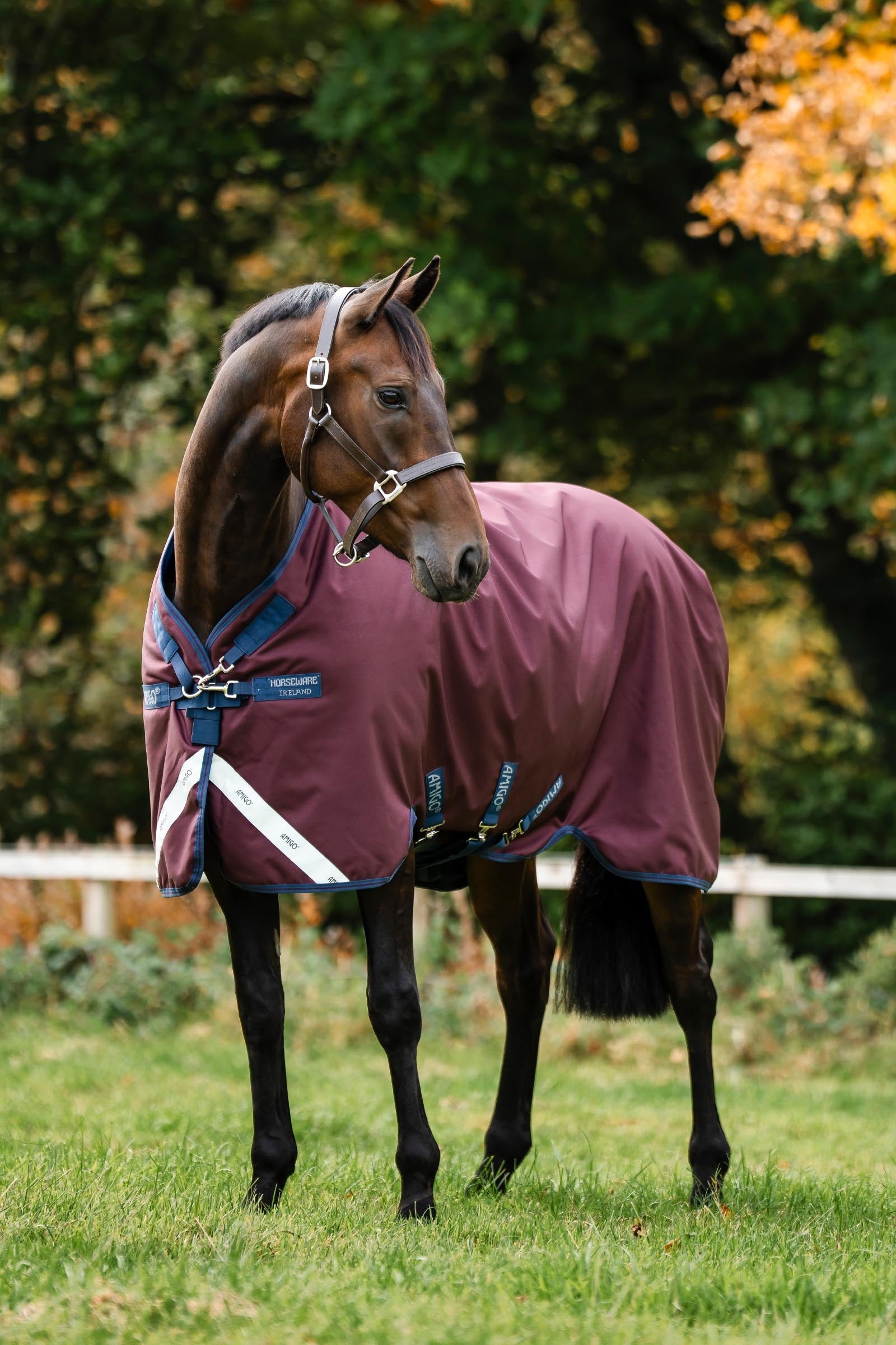 Horseware Amigo 1200D Turnout Rug, 50 g Horse Rugs