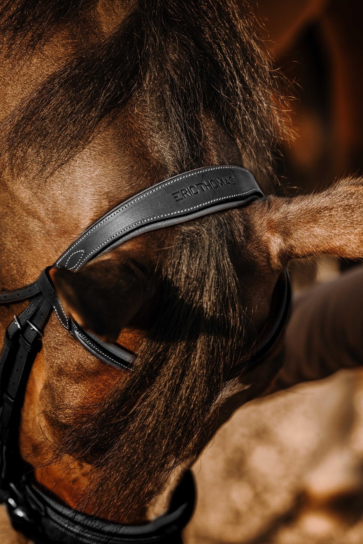 ERIC THOMAS Work Bridle Bridles & Reins