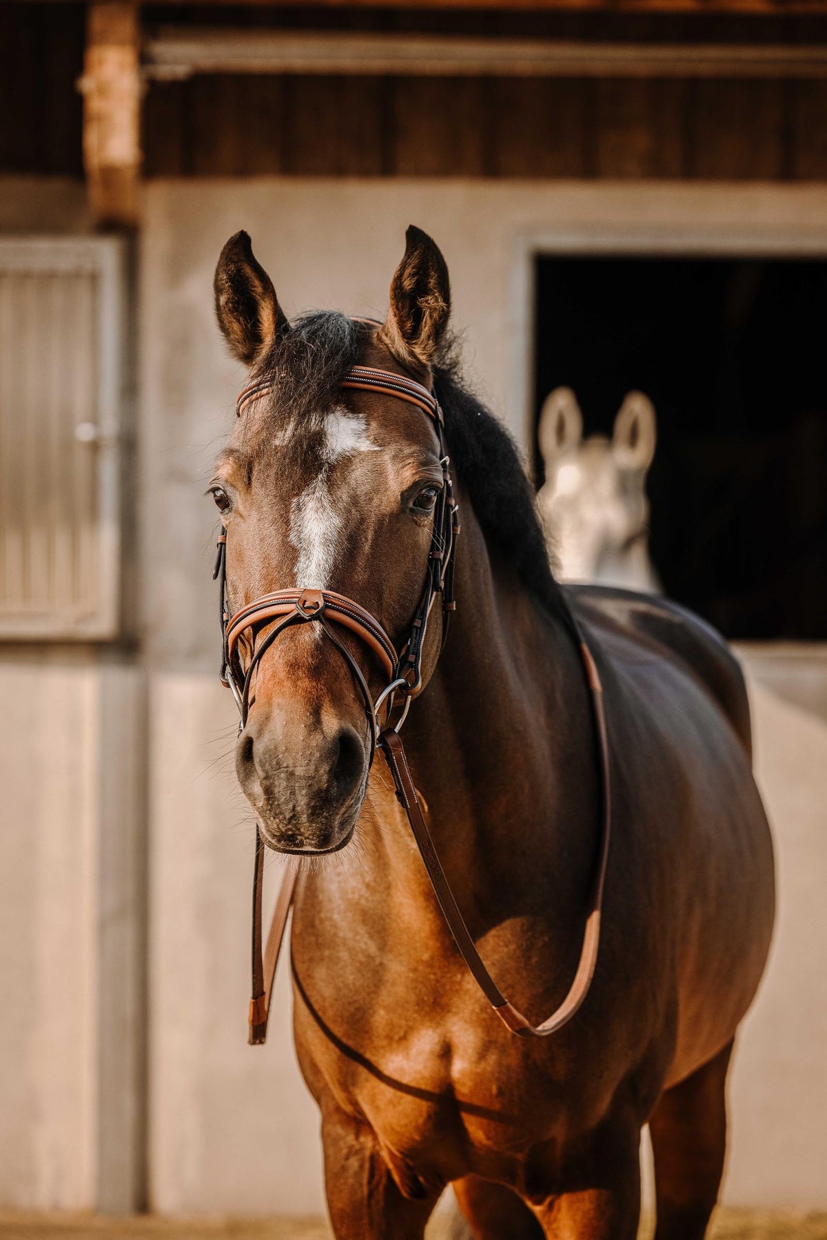 ERIC THOMAS Work Bridle Bridles & Reins