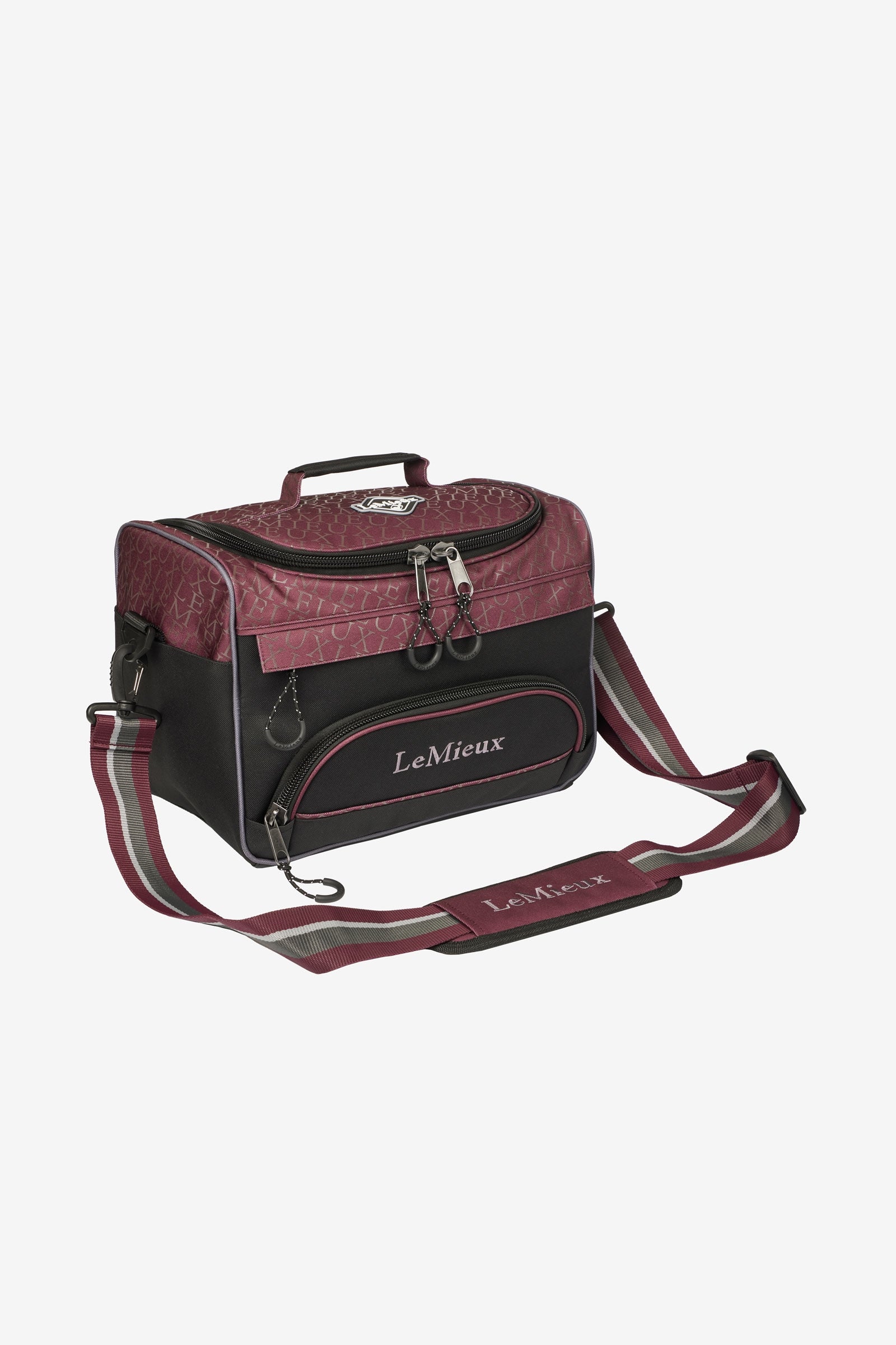 Alt Tag fallback text for IMAGE
