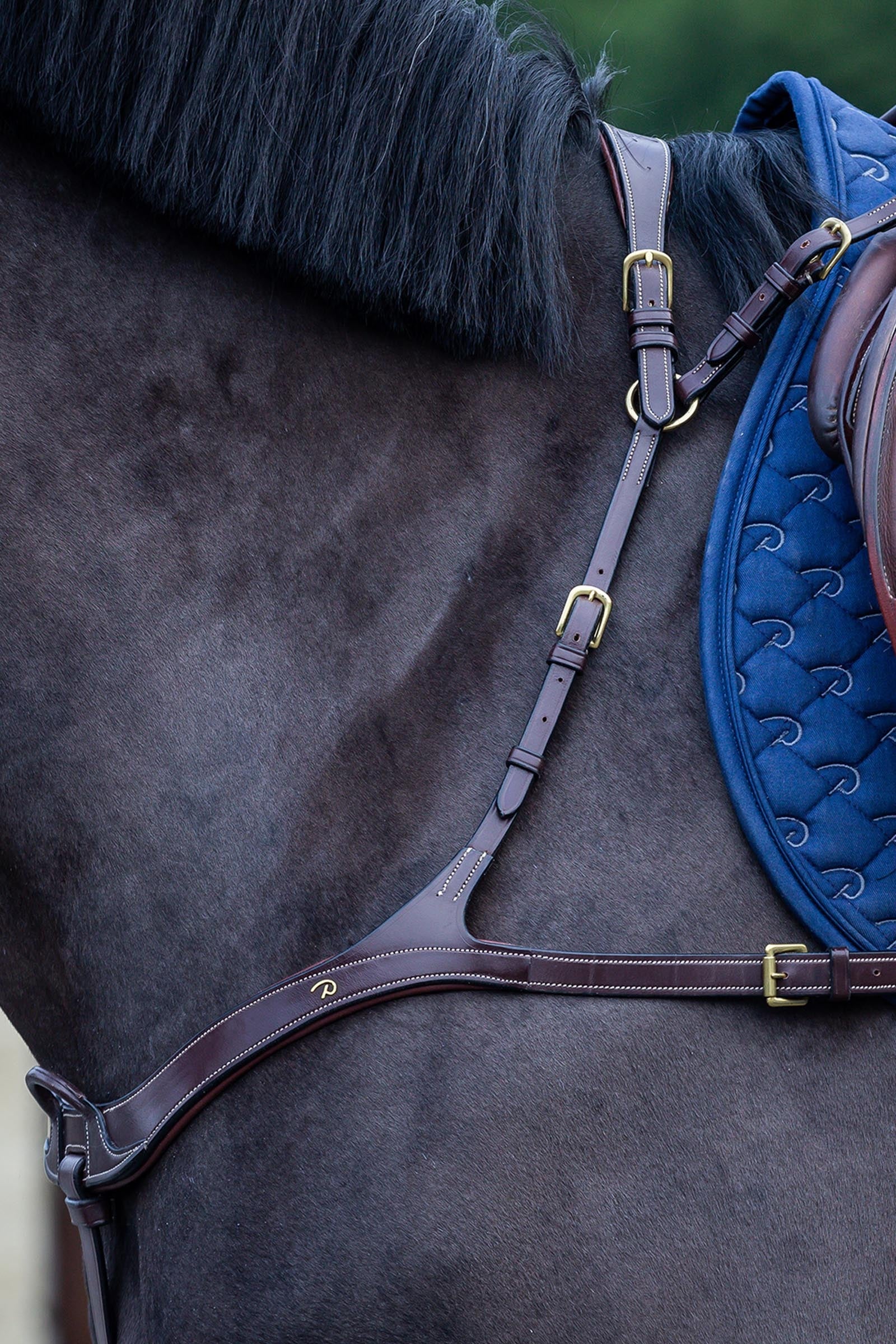 Dy'on D Collection anatomisch borsttuig Hoofdstellen & Teugels