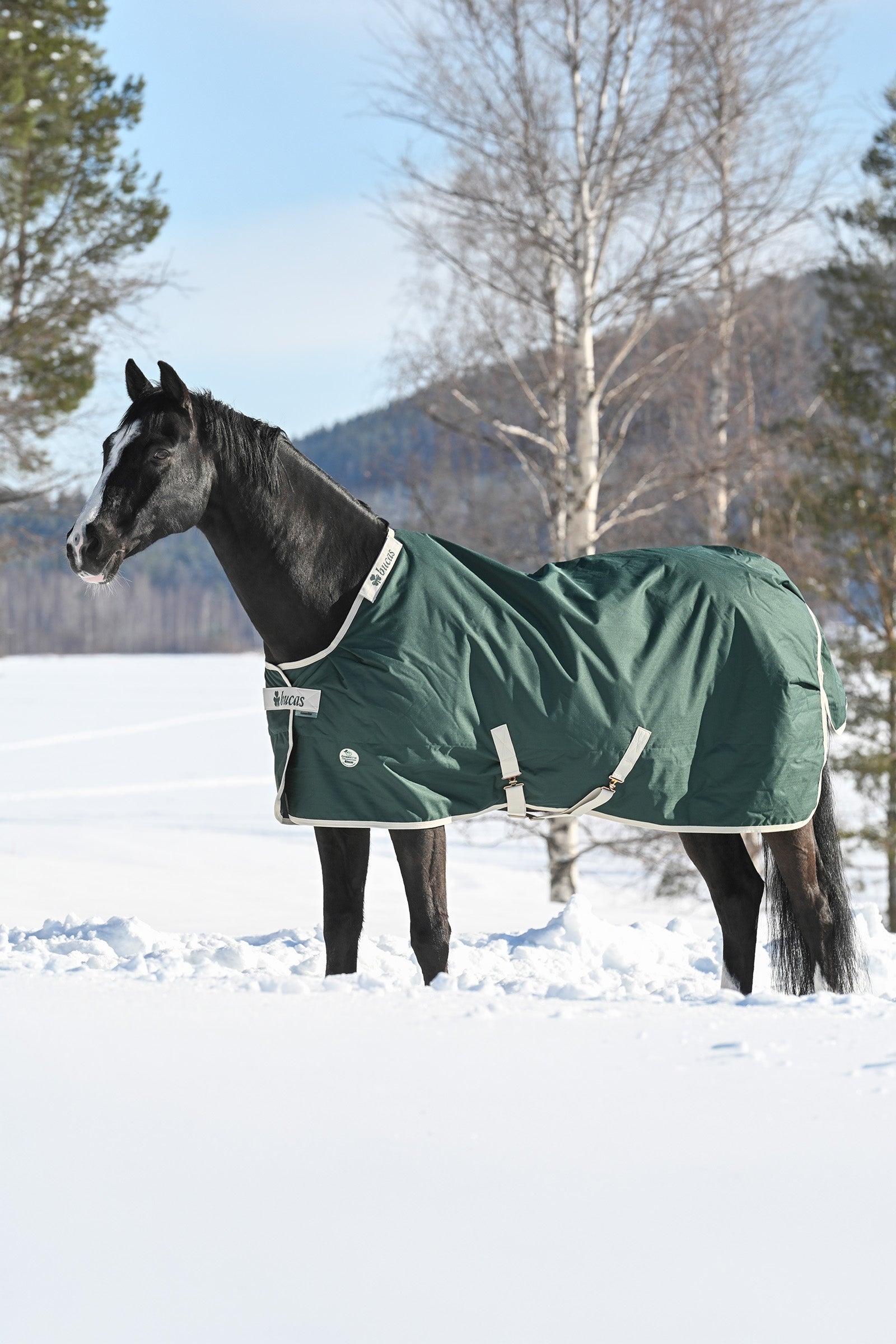 Bucas Green-Line Turnout 300g Horse Rugs