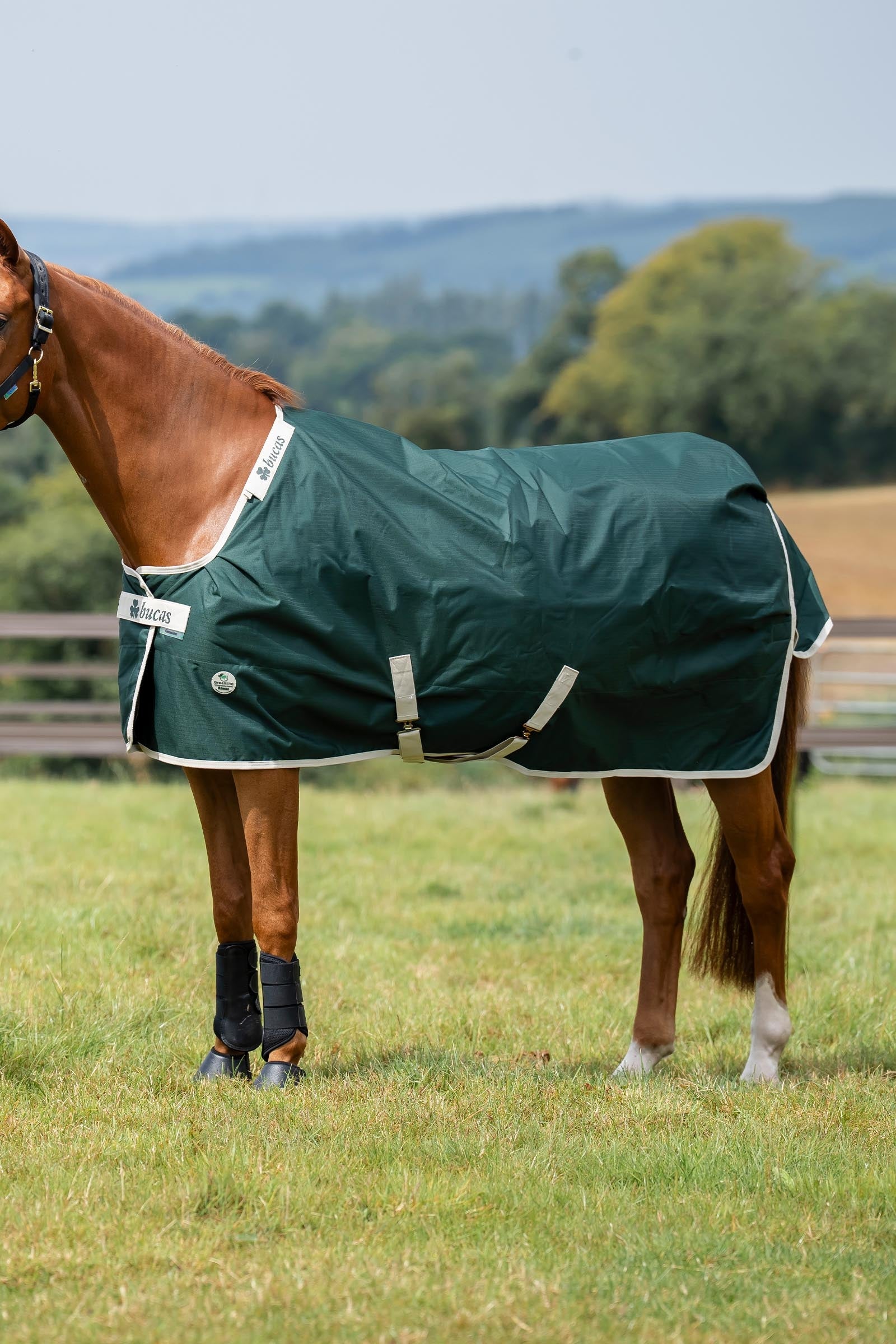 Bucas Green-Line Turnout 300g Horse Rugs