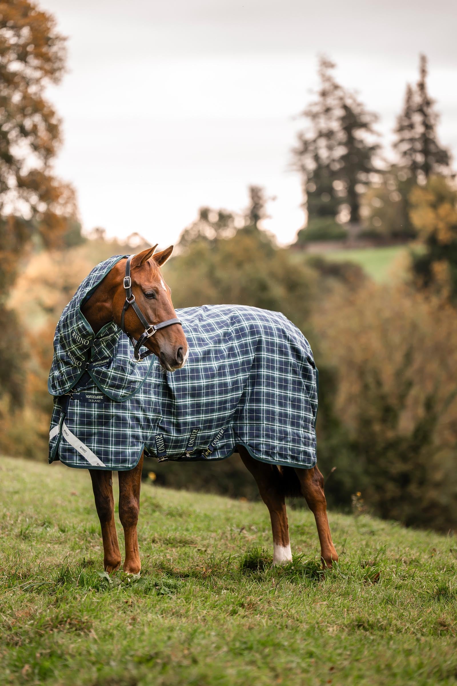 Horseware Rhino Plus Turnout Rug with Detachable Neck, 0g Horse Rugs