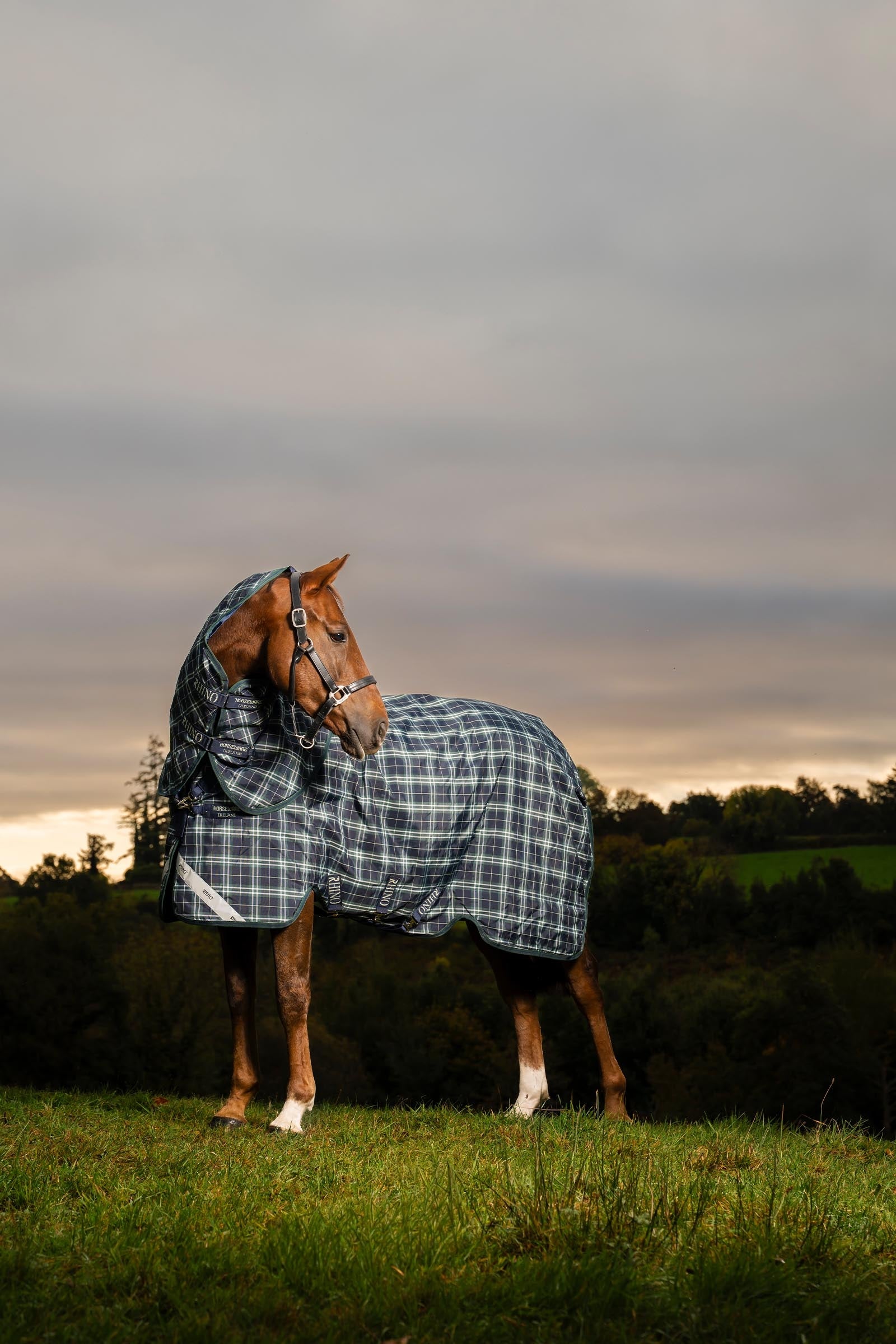 Horseware Rhino Plus Turnout Rug with Detachable Neck, 0g Horse Rugs