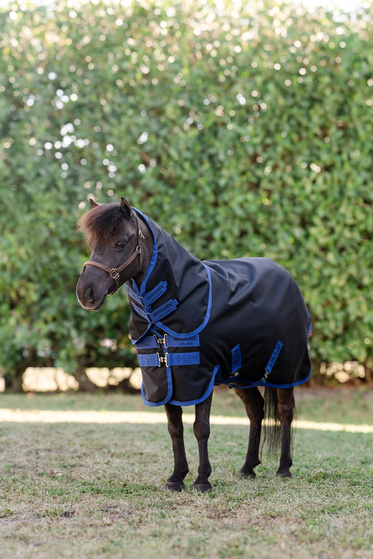 Horseware Amigo Ripstop 900D Plus Petite outdoordeken met afneembaar halsteil, 0 g Paardendekens