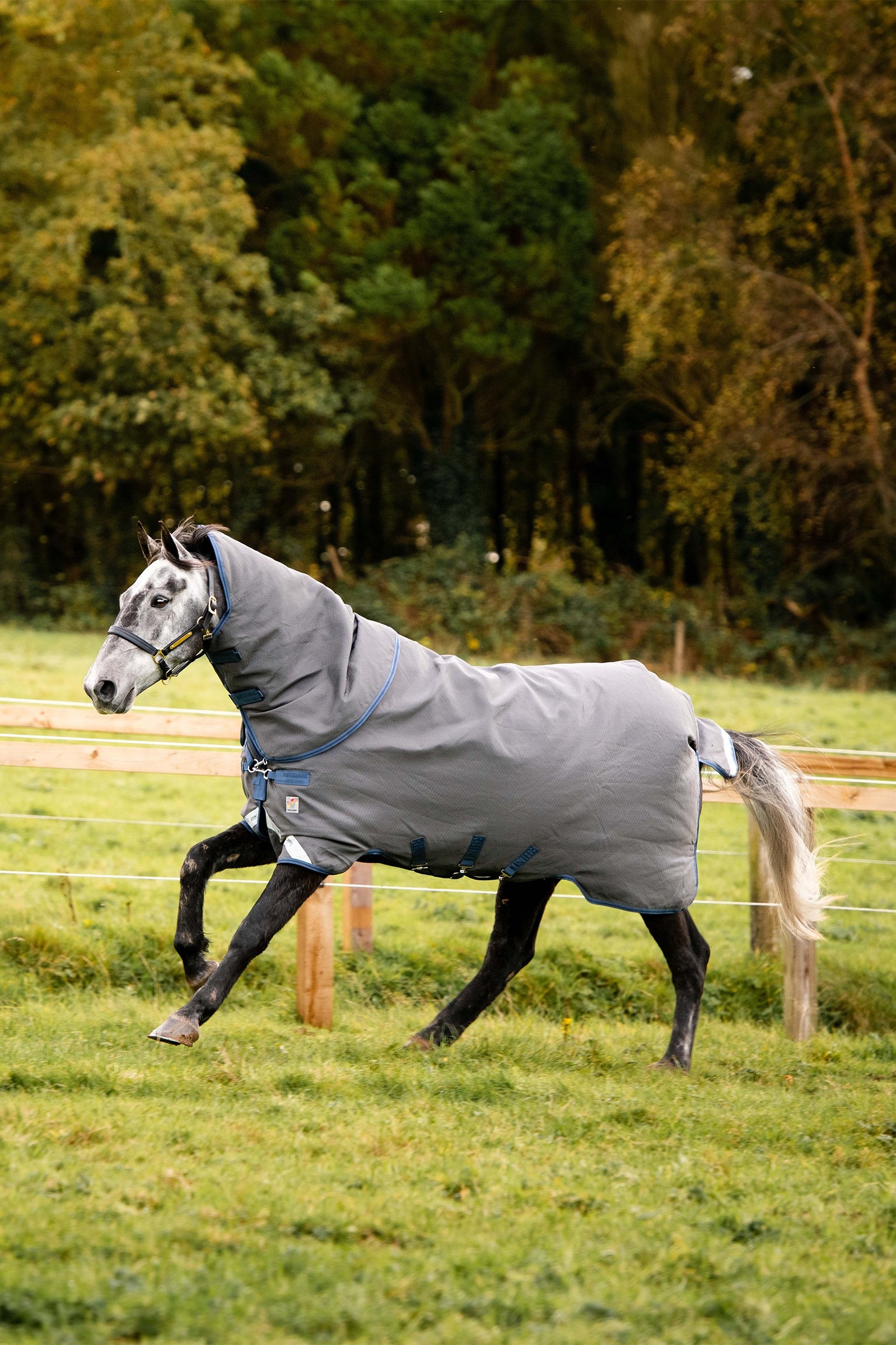 Horseware Rhino Plus HexSTOP Weidedeken, 0g Paardendekens
