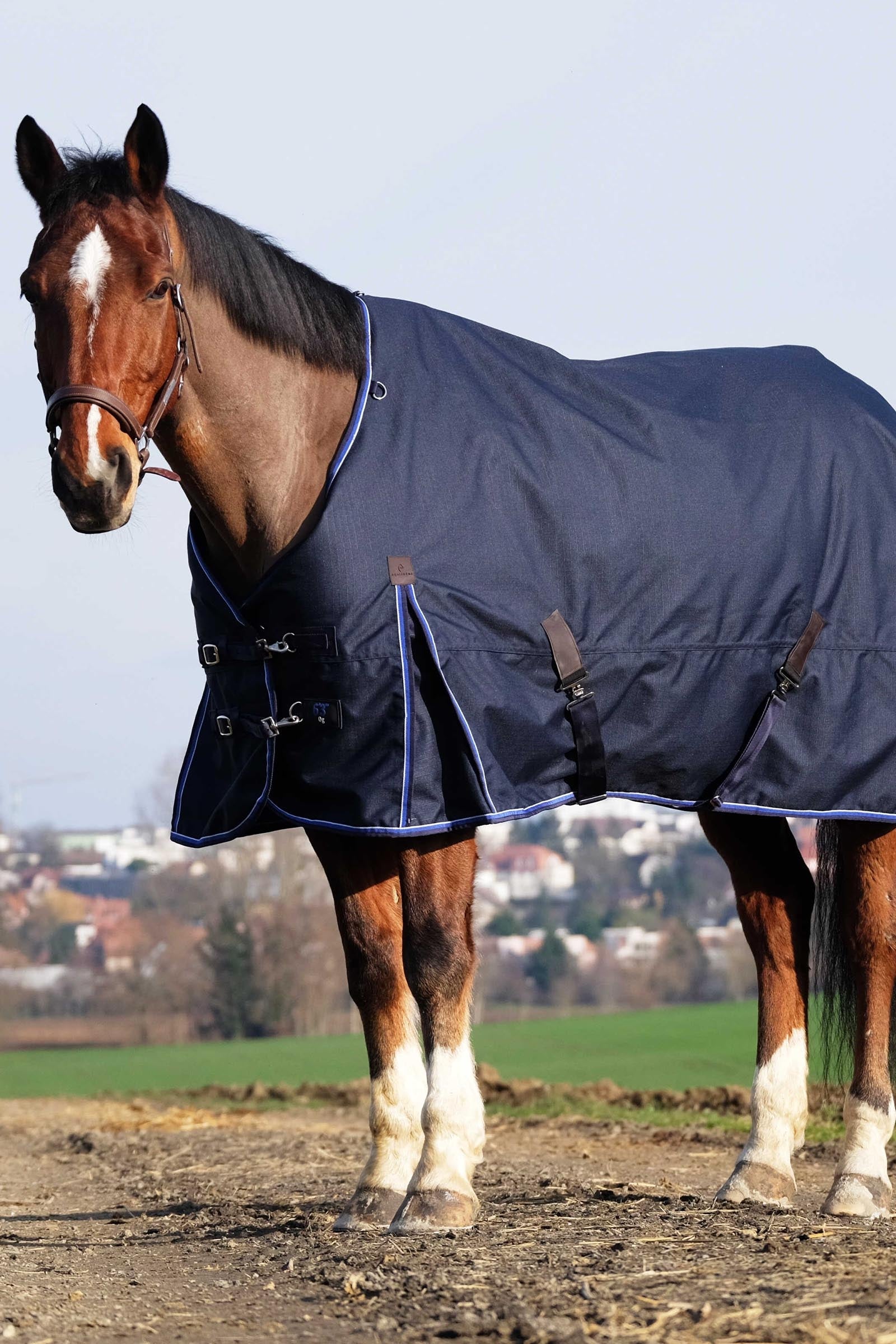 EQUITHÈME Classic 1200D outdoordeken, 200 g Paardendekens