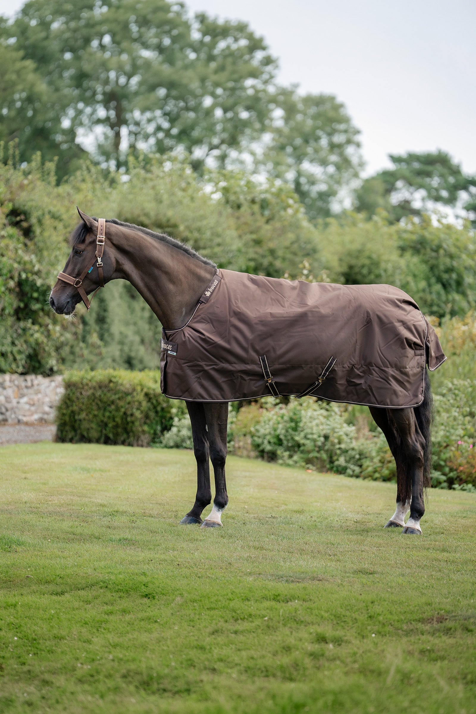 Bucas Irish Turnout Rug, 150g Horse Rugs