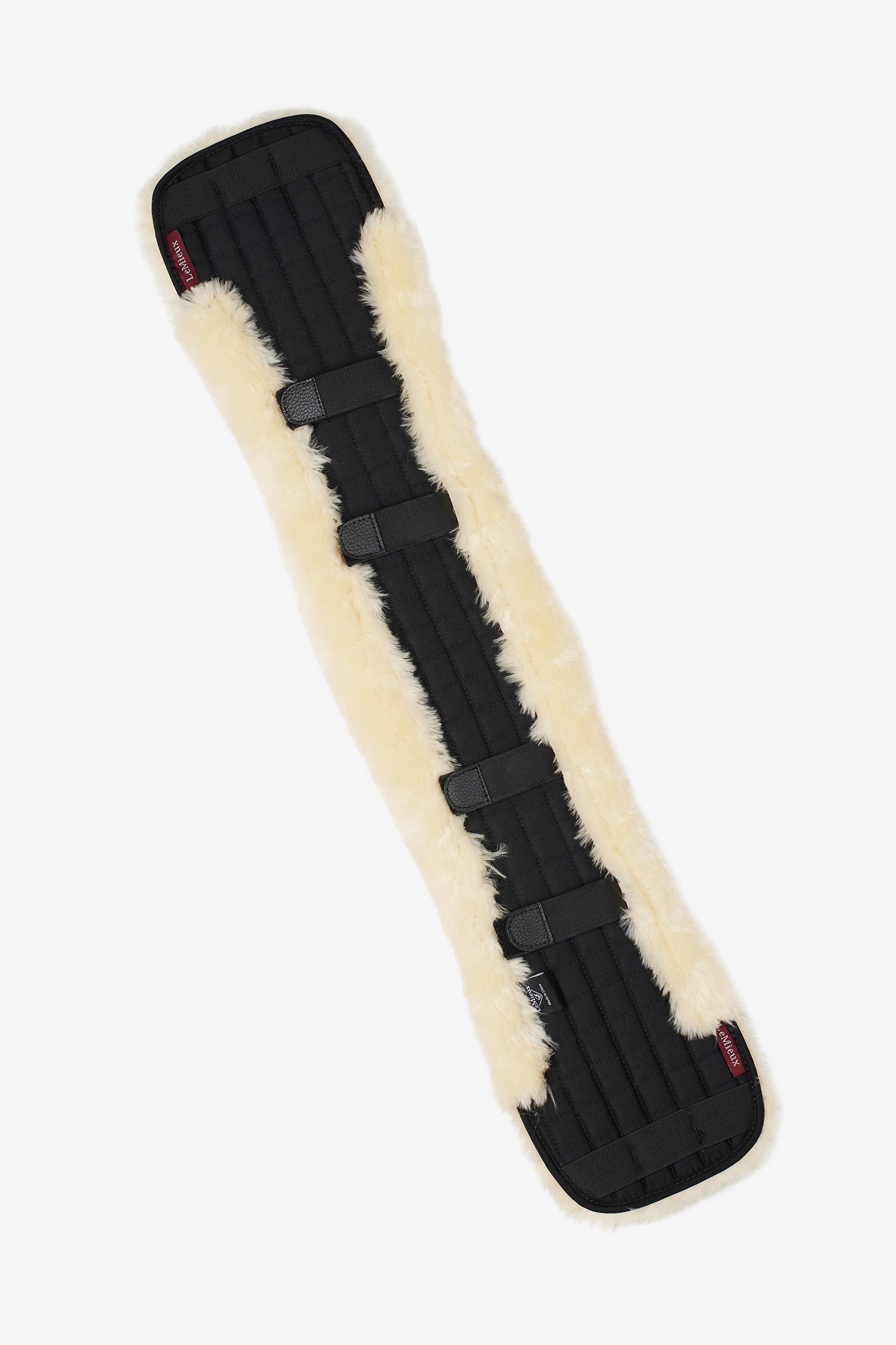Alt Tag fallback text for IMAGE