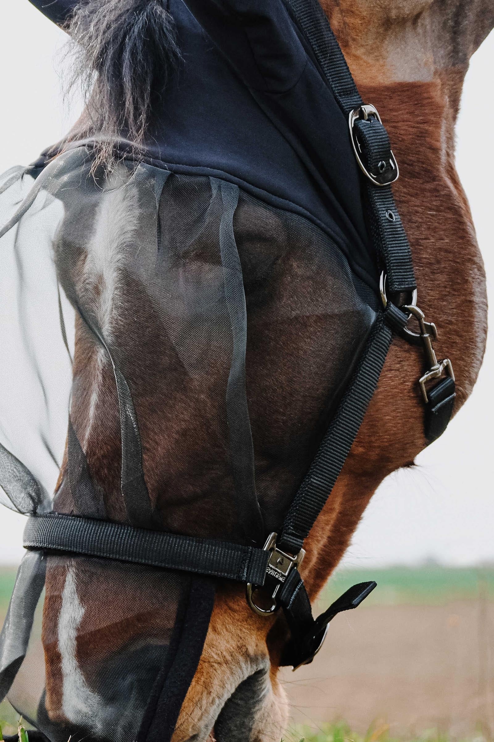 Equi Theme EQUITHÈME Halter + Anti UV Mask Antifly Protection for Horses