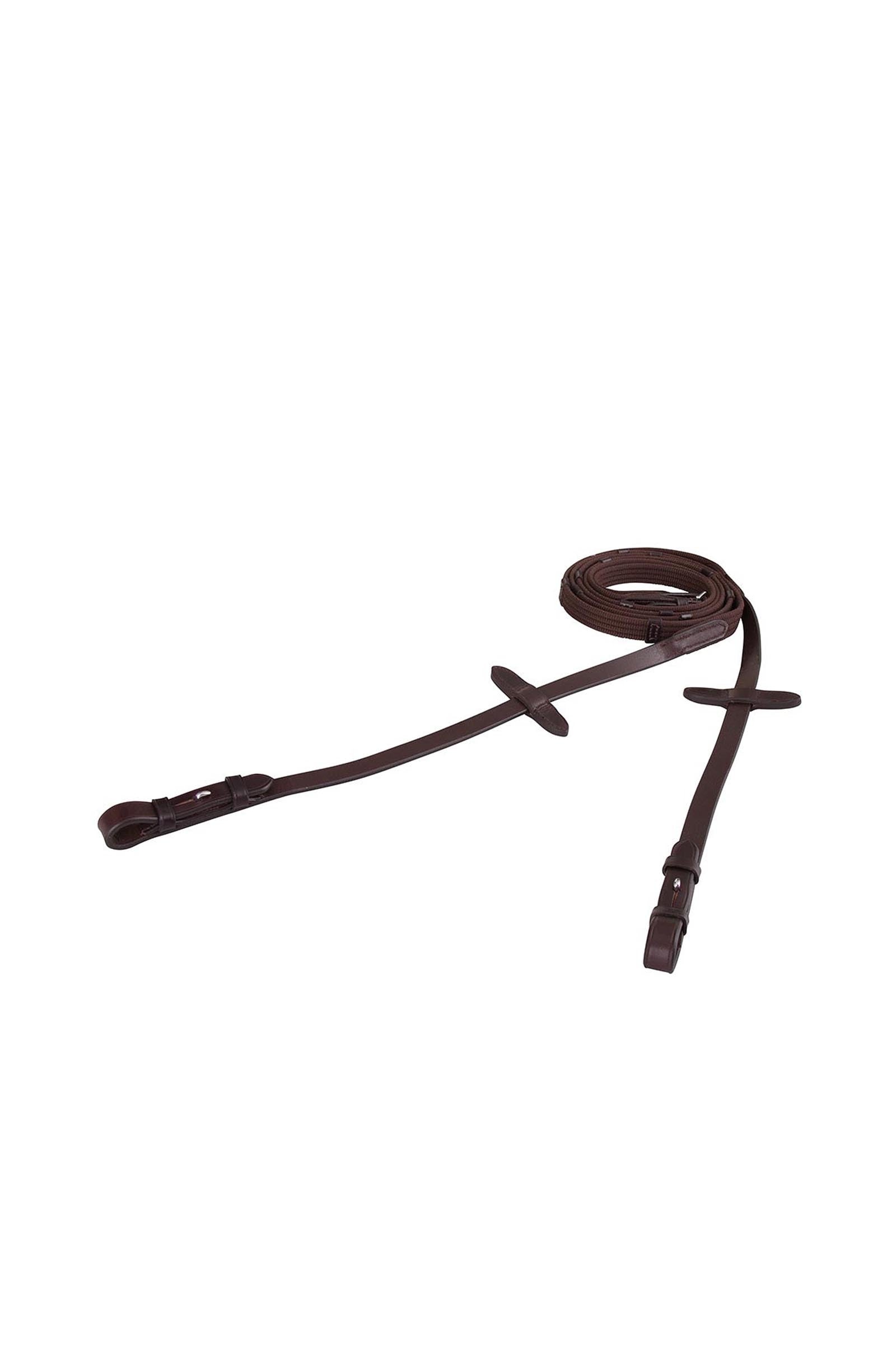 BR webteugels Hoofdstellen & Teugels