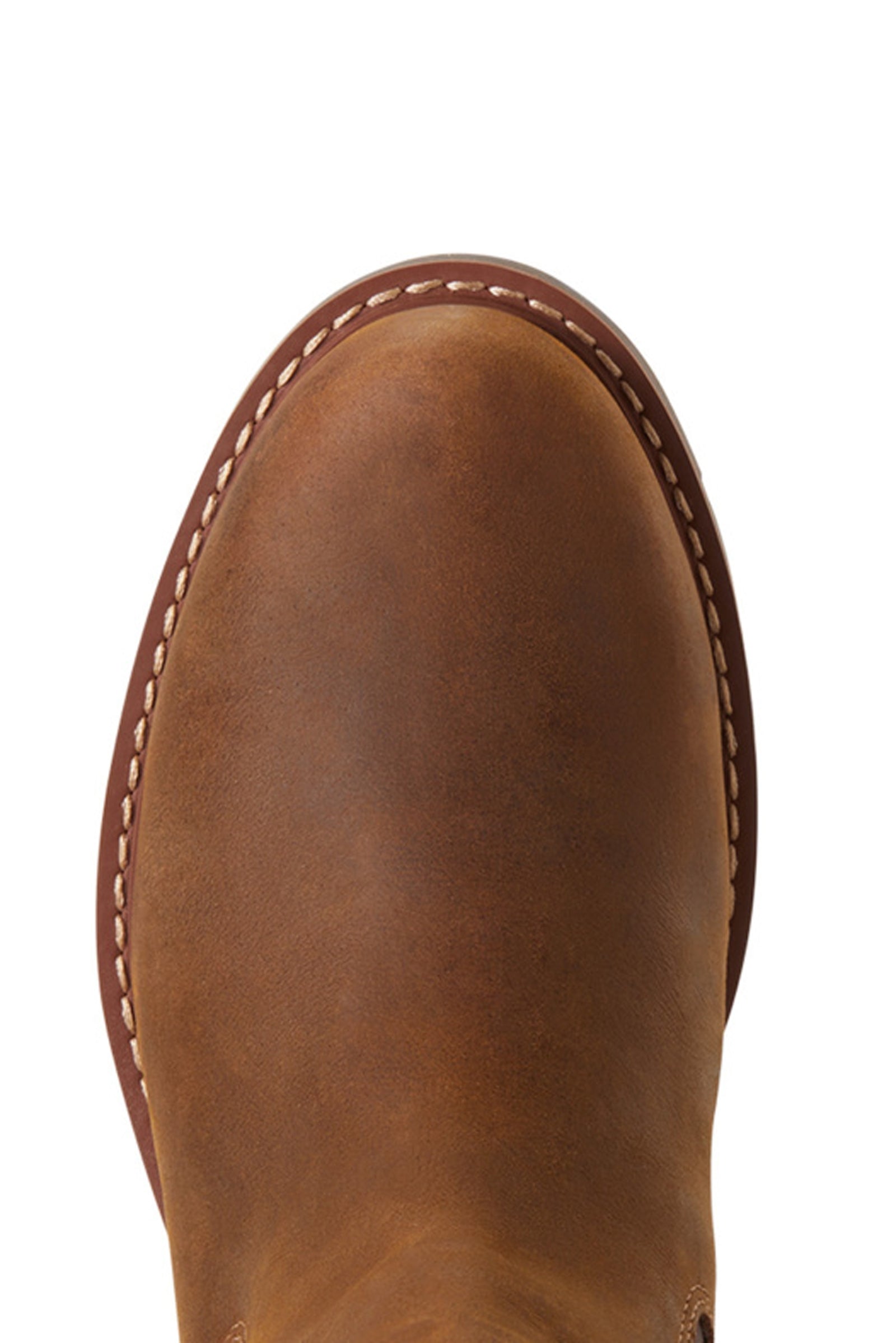 Ariat Wexford Women's Waterproof Boots Riding Boots & Riding Shoes