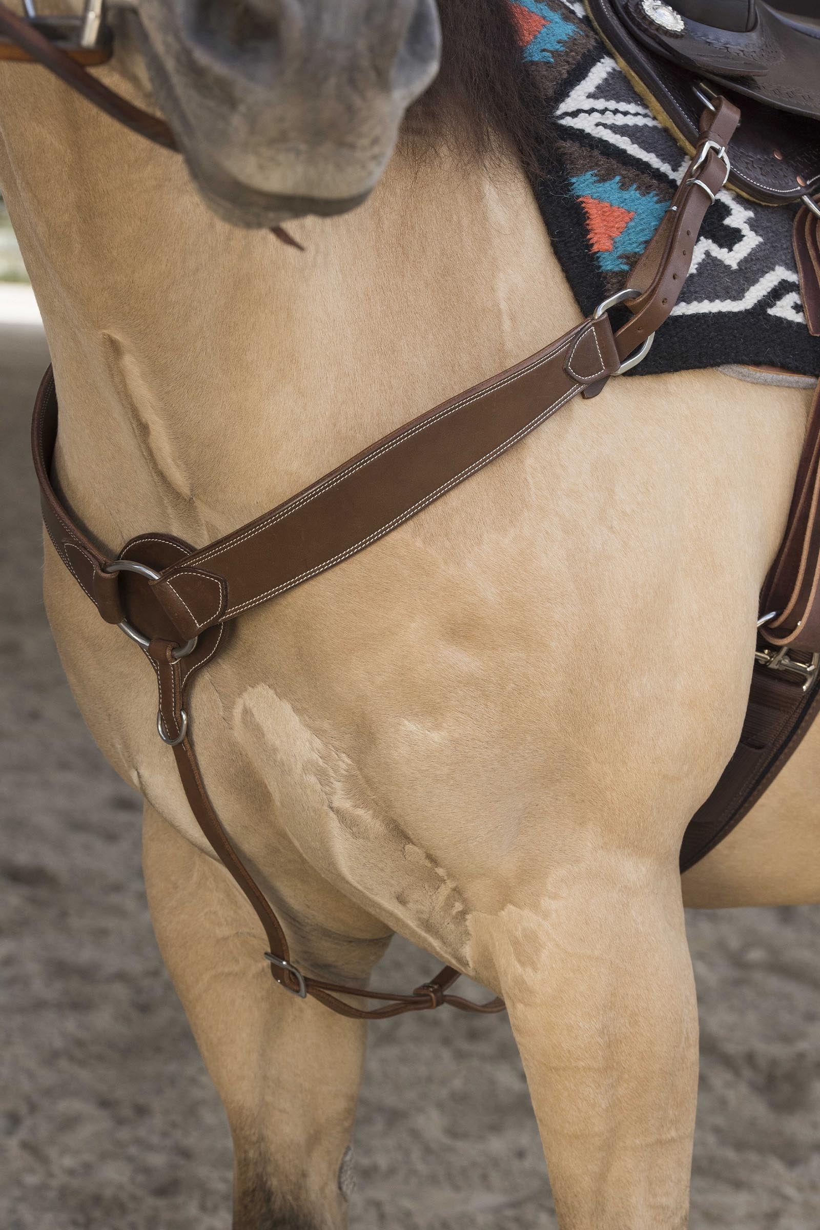 WESTRIDE Billy Hunting Collar By Franck Perret Bridles & Reins
