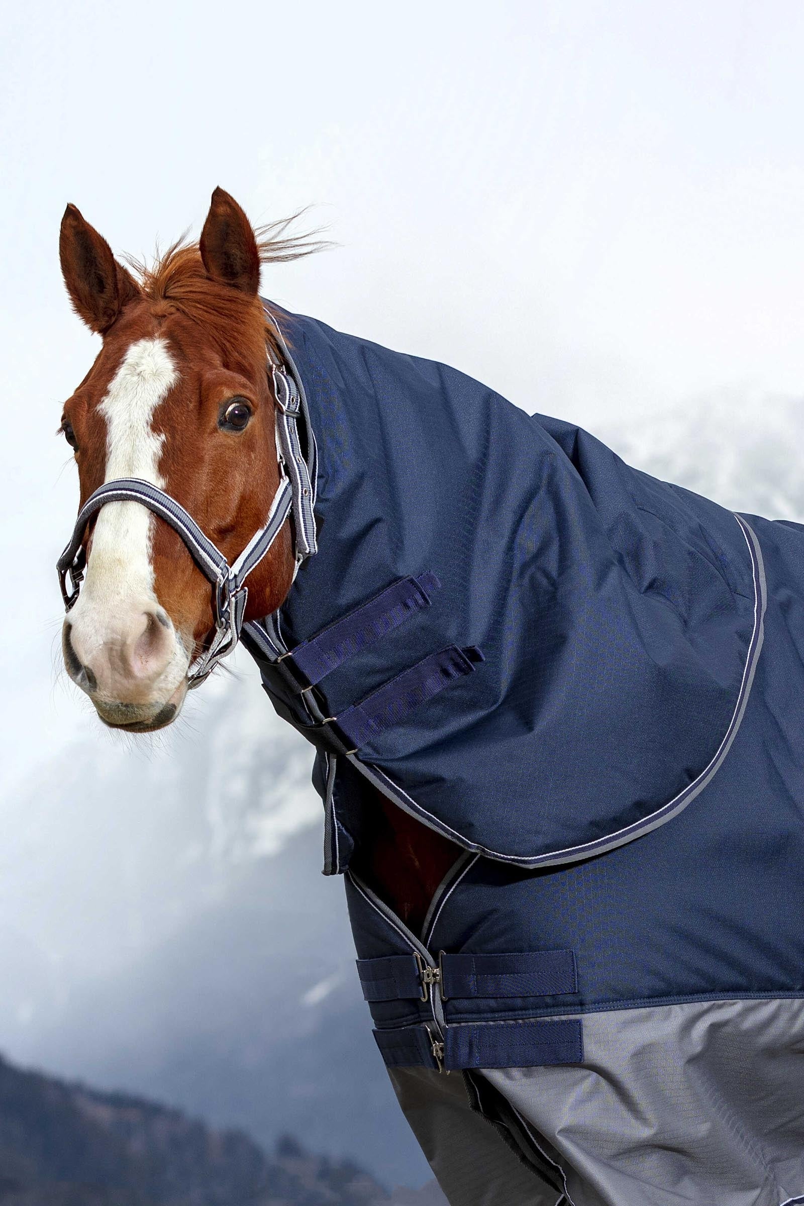 EQUITHÈME TYREX 600D halsstuk, 0 g Paardendekens