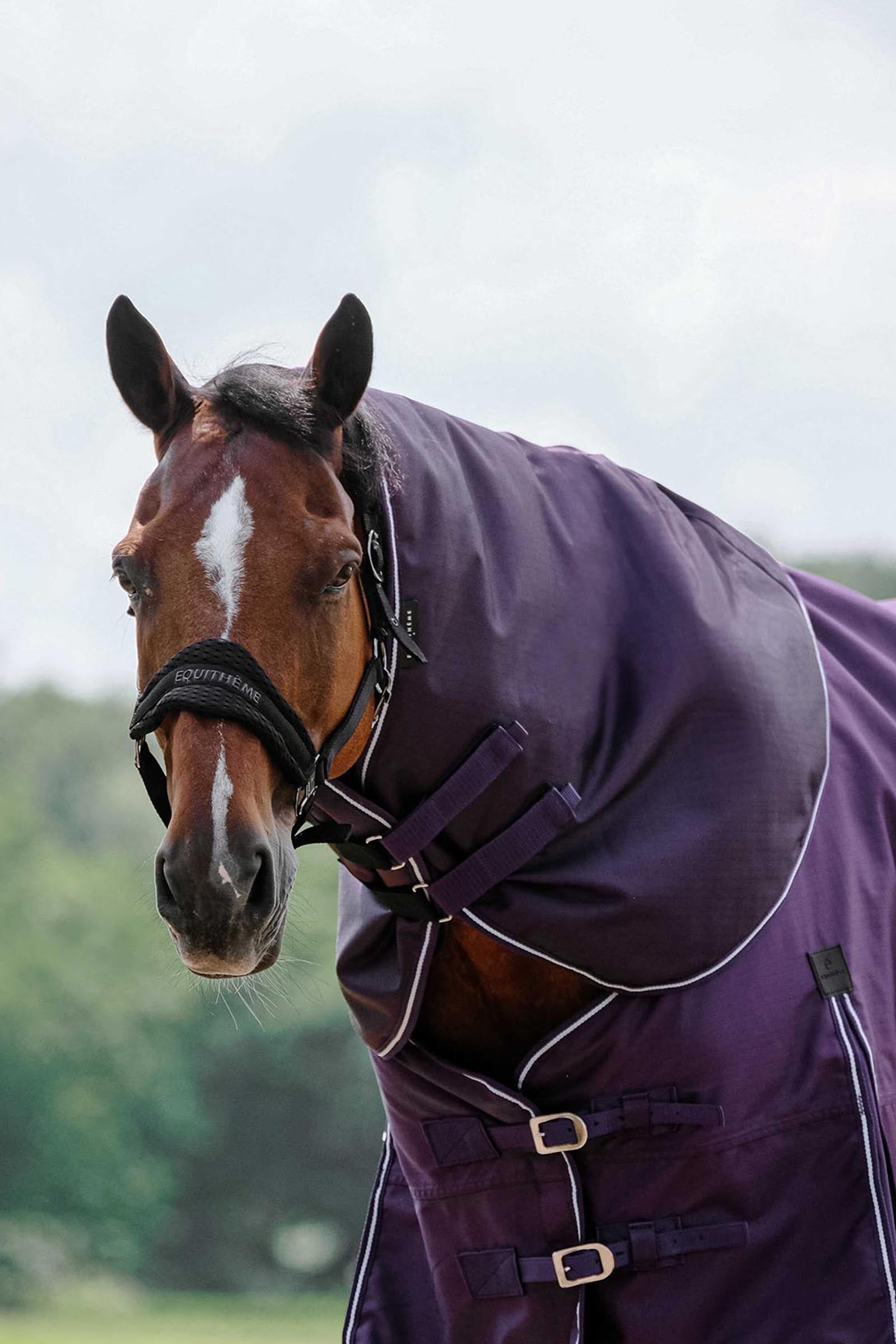 EQUITHÈME TYREX 600D halsstuk Plume, 200 g Paardendekens