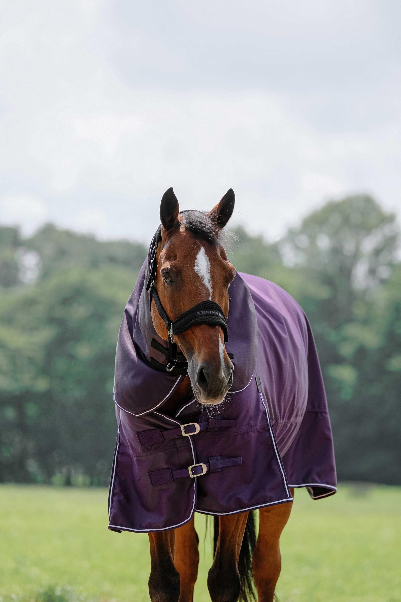 EQUITHÈME TYREX 600D Neck Cover Plume 200 g Horse Rugs