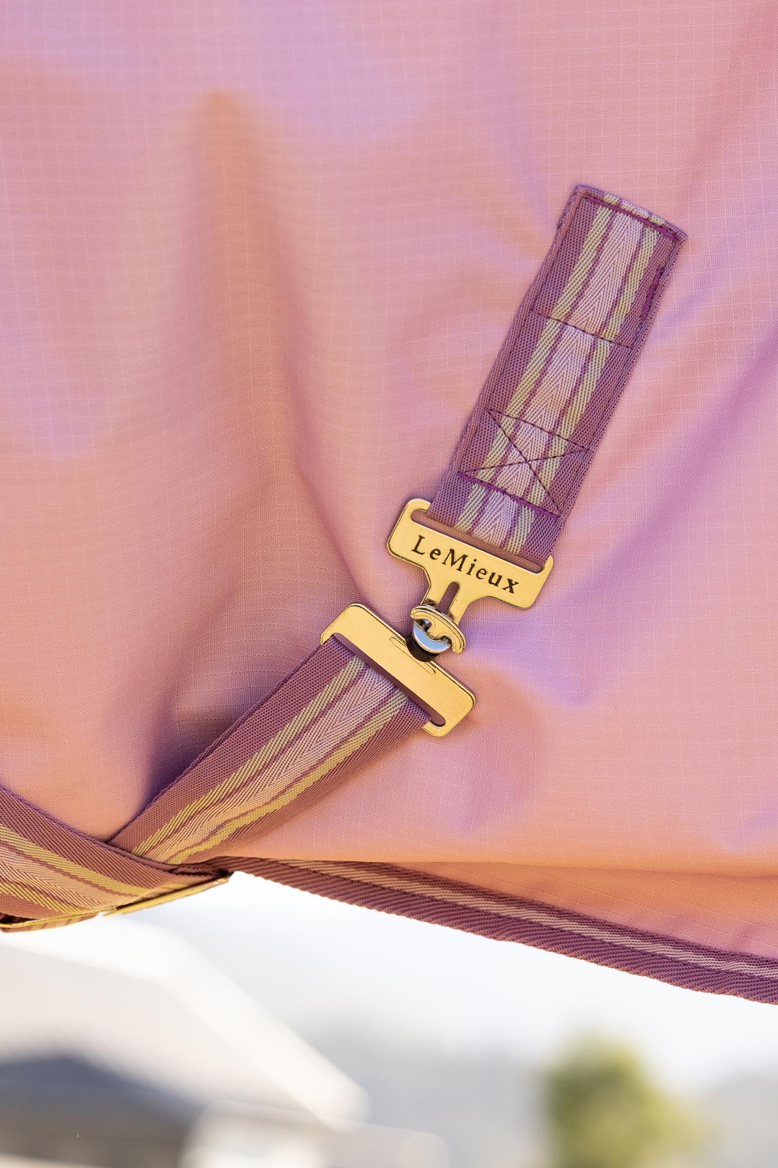 LeMieux Arika Ripstop Turnout Rug With Detachable Neck, 0 g Horse Rugs