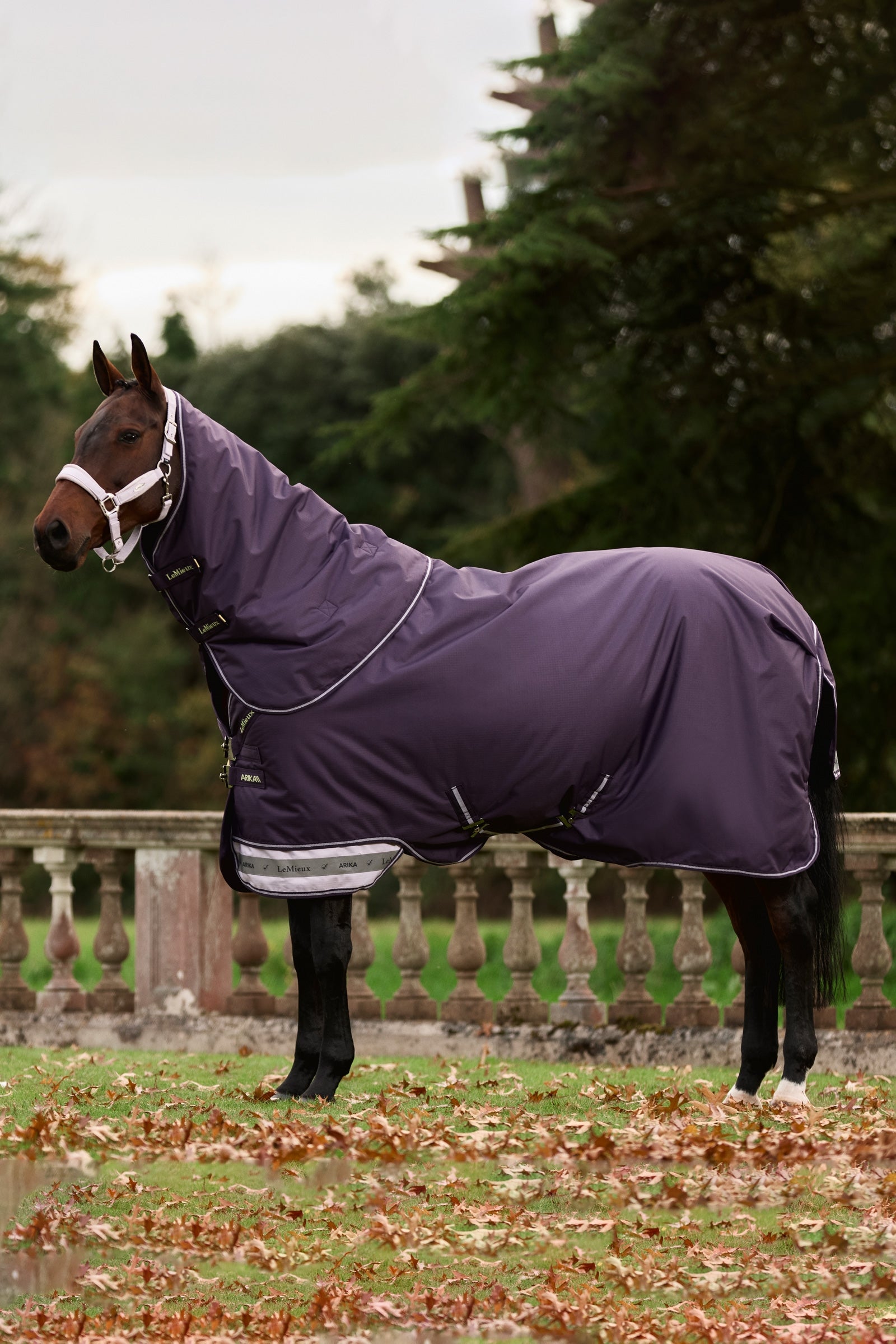 LeMieux Arika Ripstop Turnout Rug With Detachable Neck, 0 g Horse Rugs