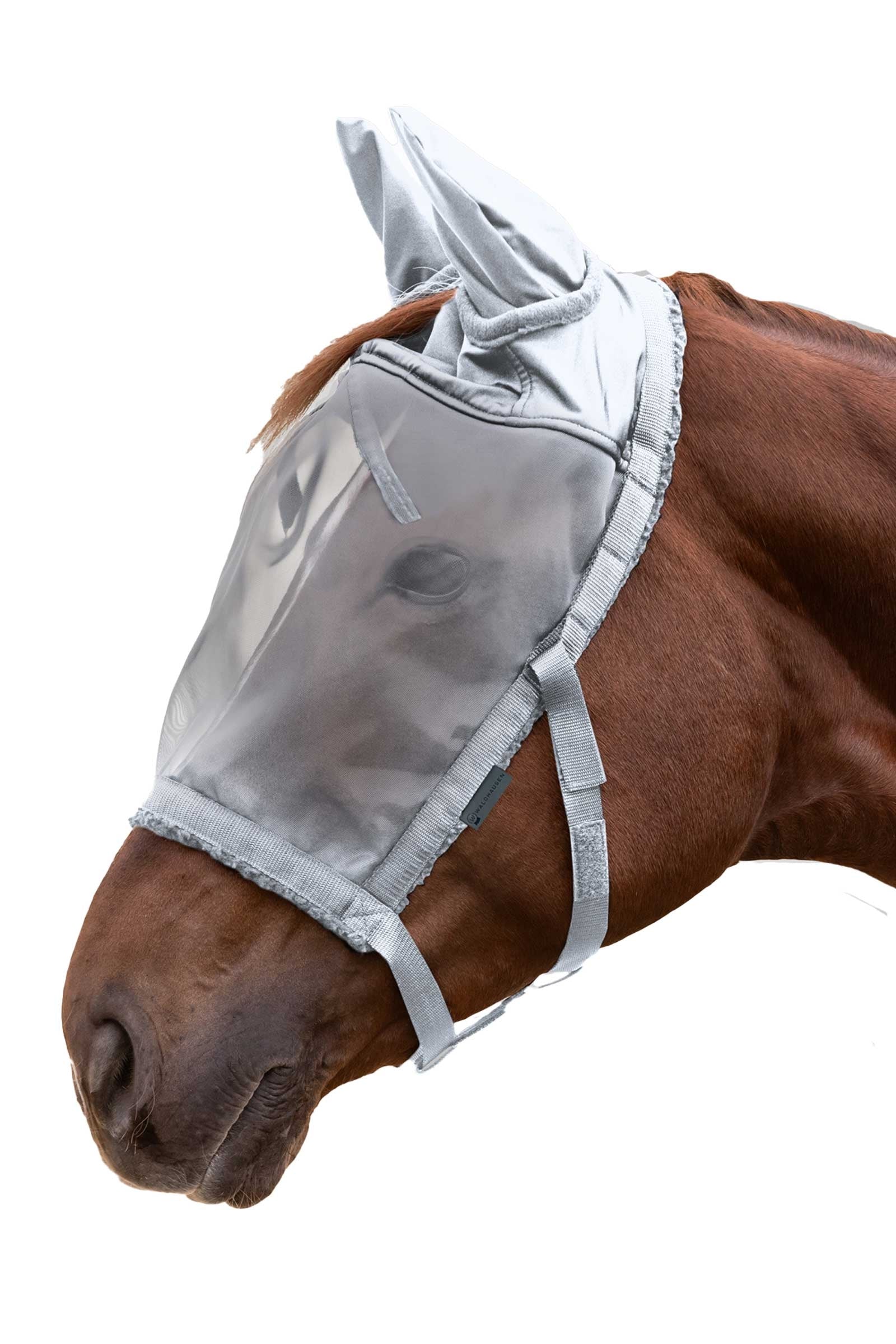 Waldhausen Grazing Halter With Fly Mask Antifly Protection for Horses