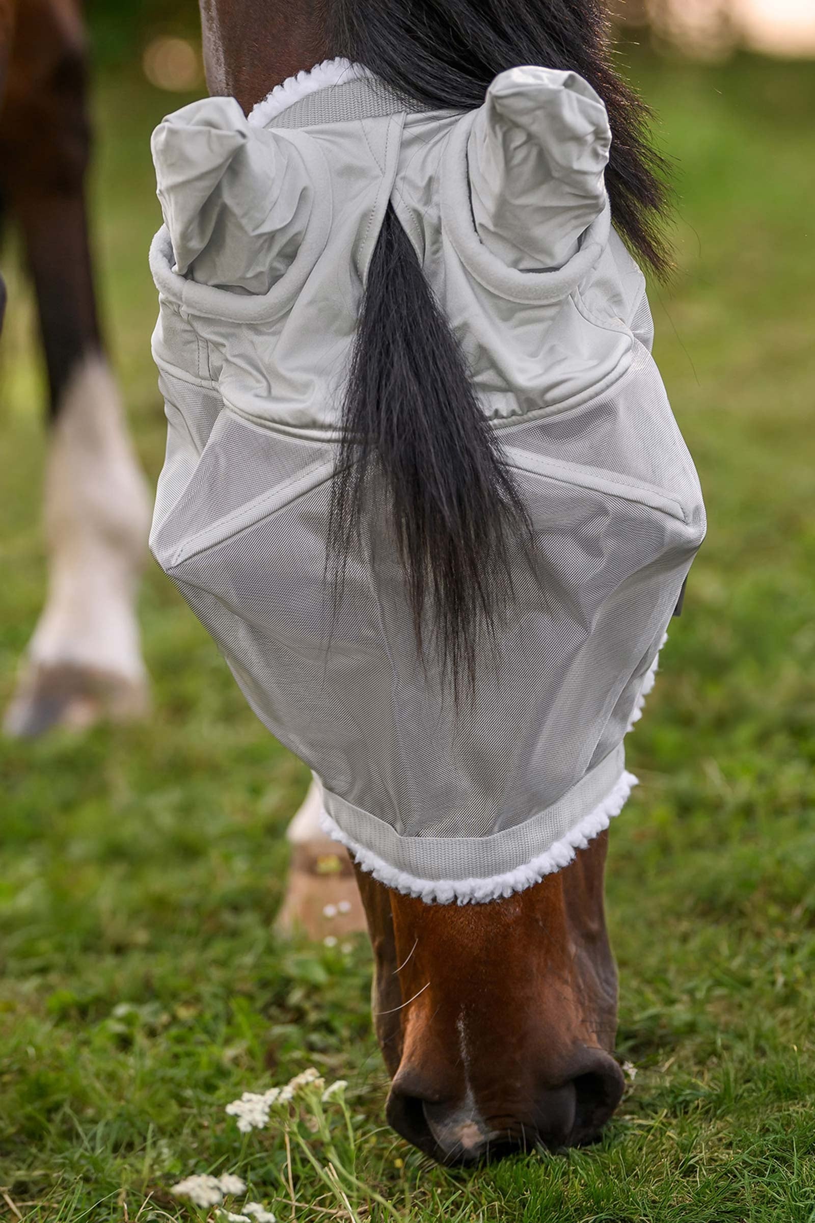 Waldhausen Grazing Halter With Fly Mask Antifly Protection for Horses