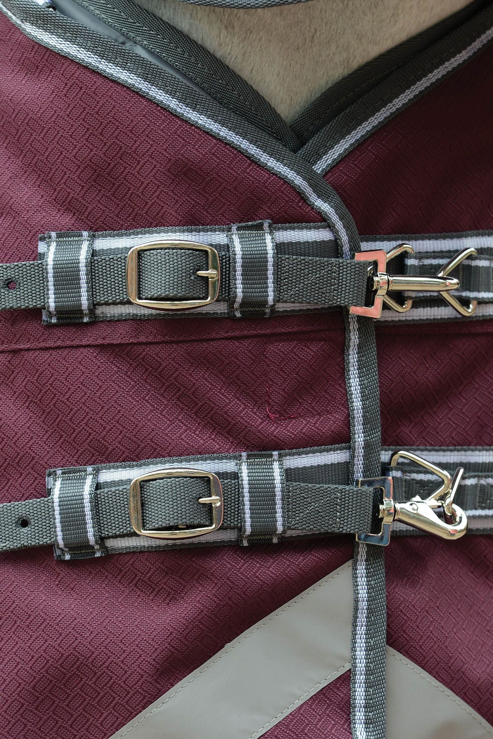 Alt Tag fallback text for IMAGE