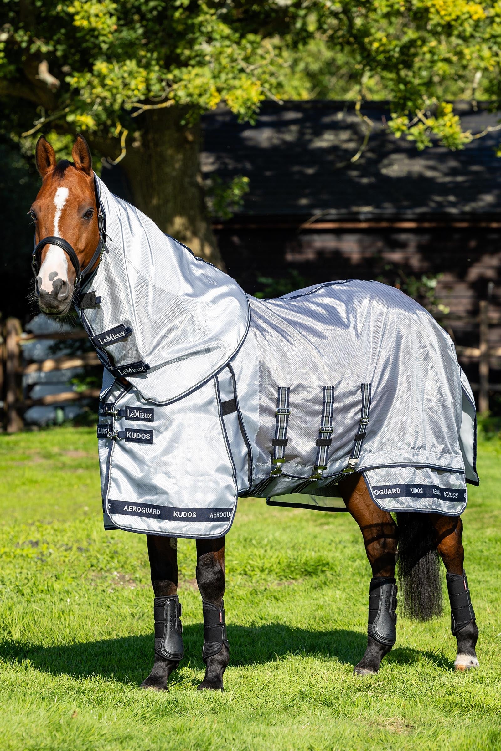 LeMieux Kudos AeroGuard Fly Rug w. Detachable Neck Horse Rugs
