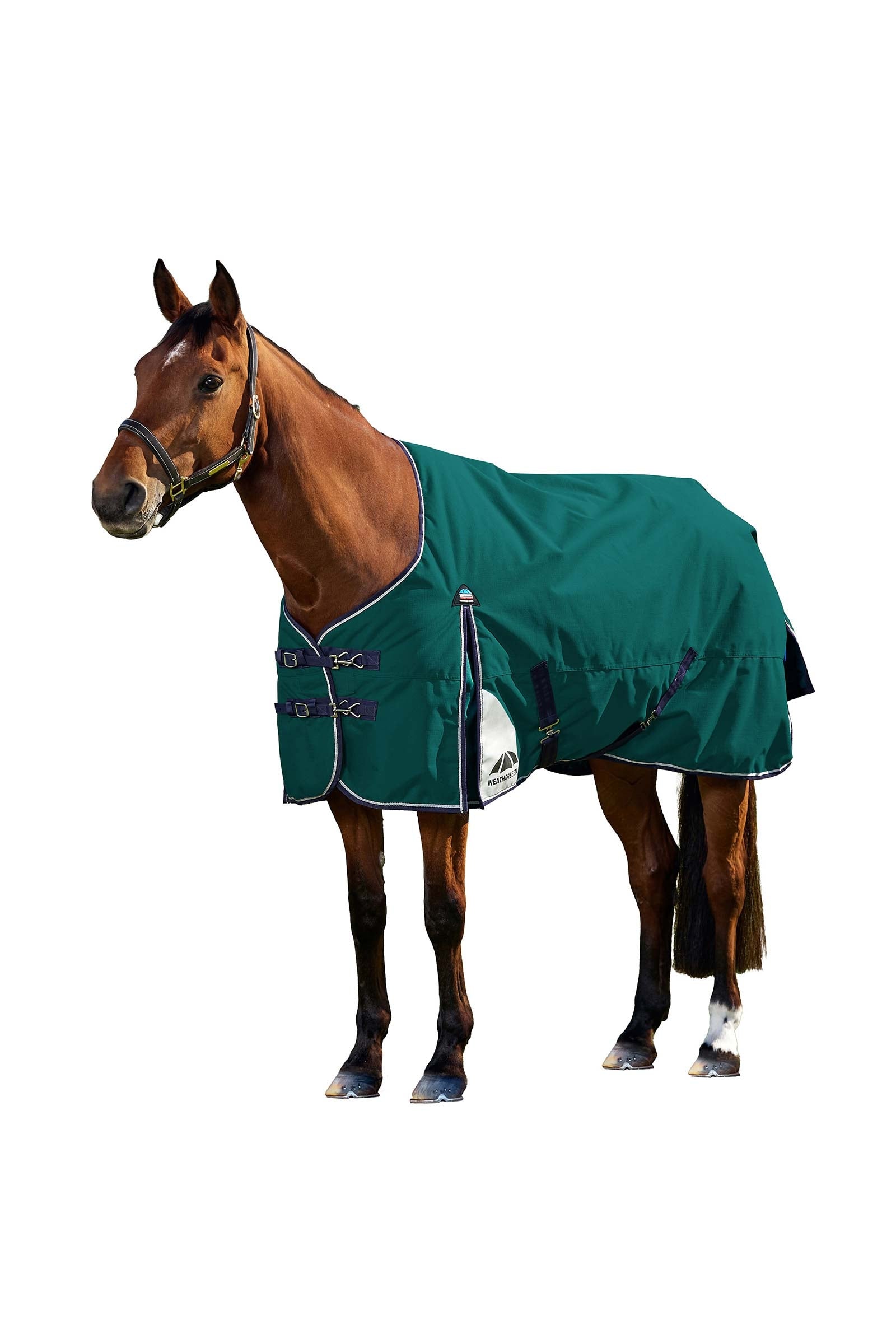 Weatherbeeta ComFiTecPlus Dynamic Turnout Rug, 0 g Horse Rugs