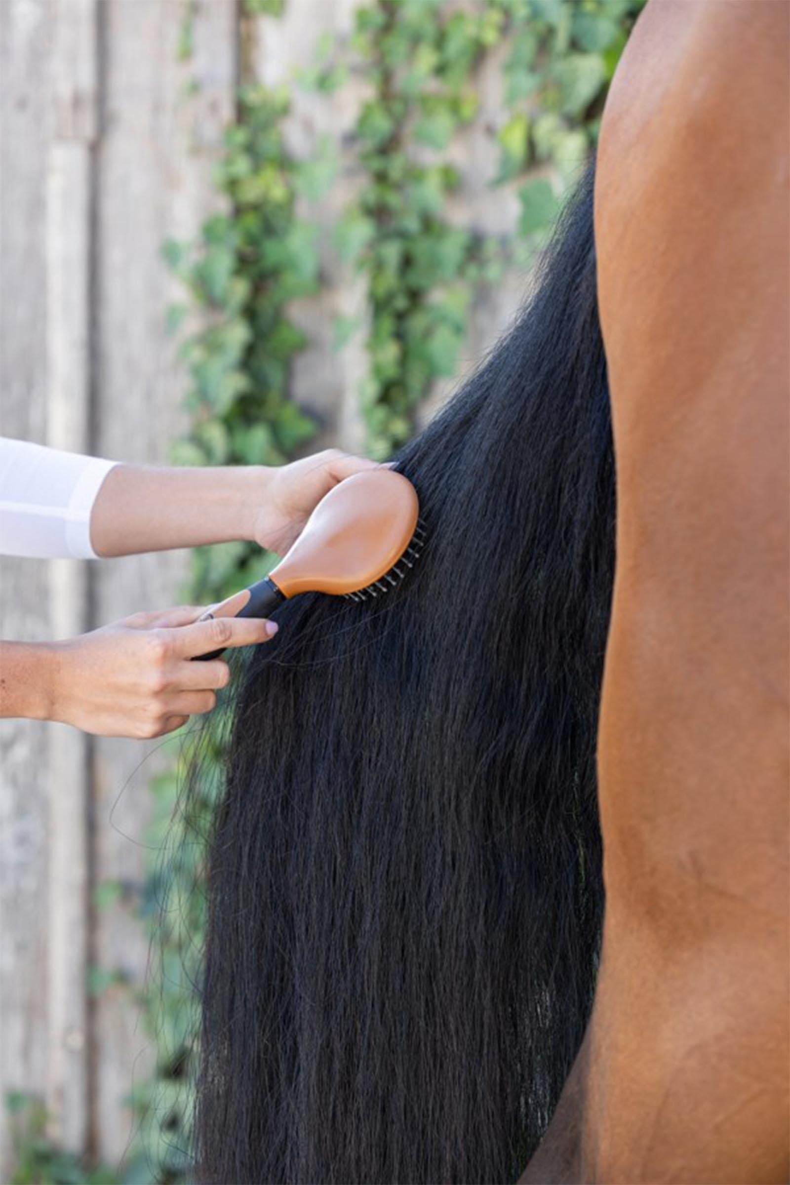 Covalliero 2K Mane Brush Horse Grooming Tools