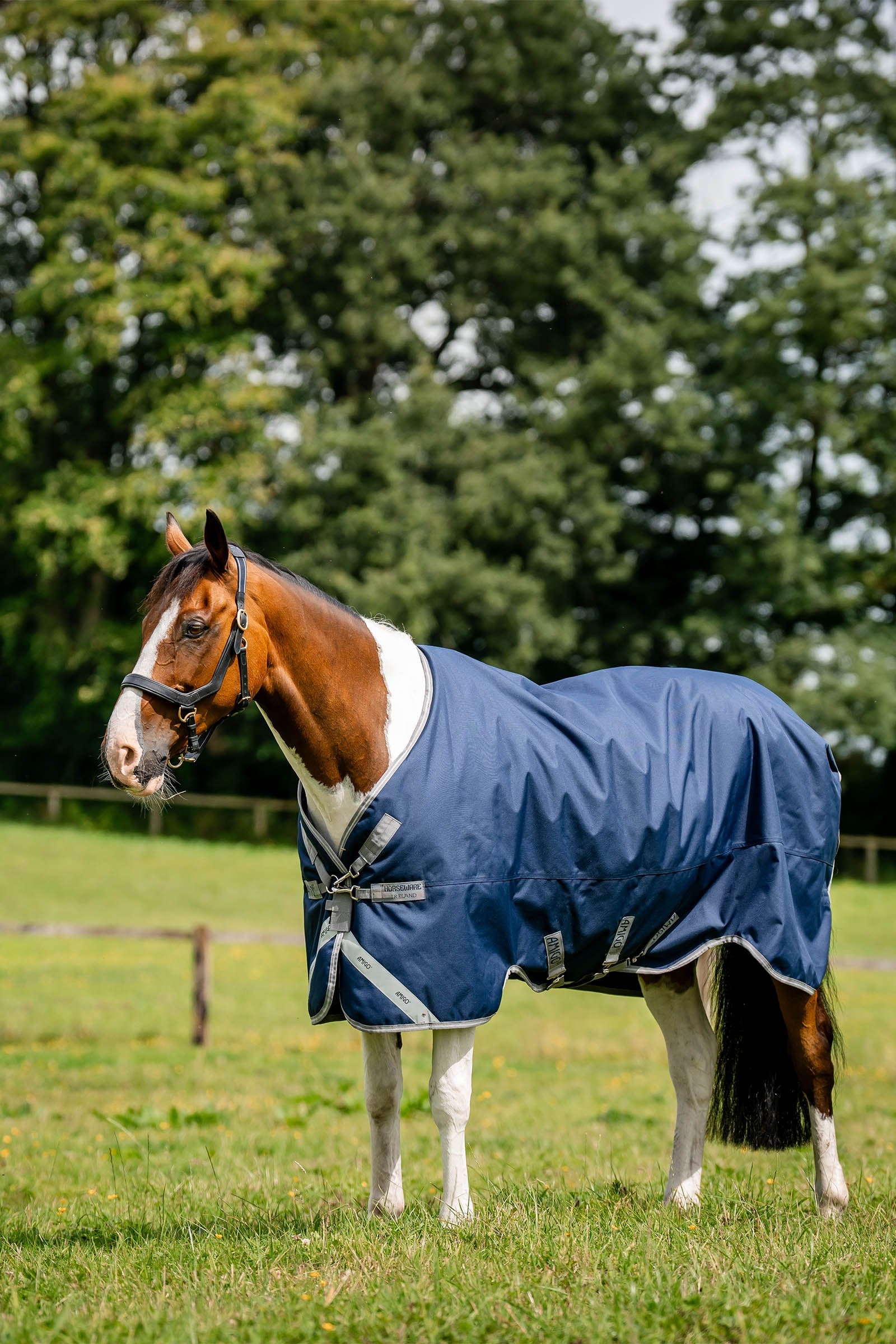 Horseware Amigo 1200D turnoutdeken, 100 g Paardendekens