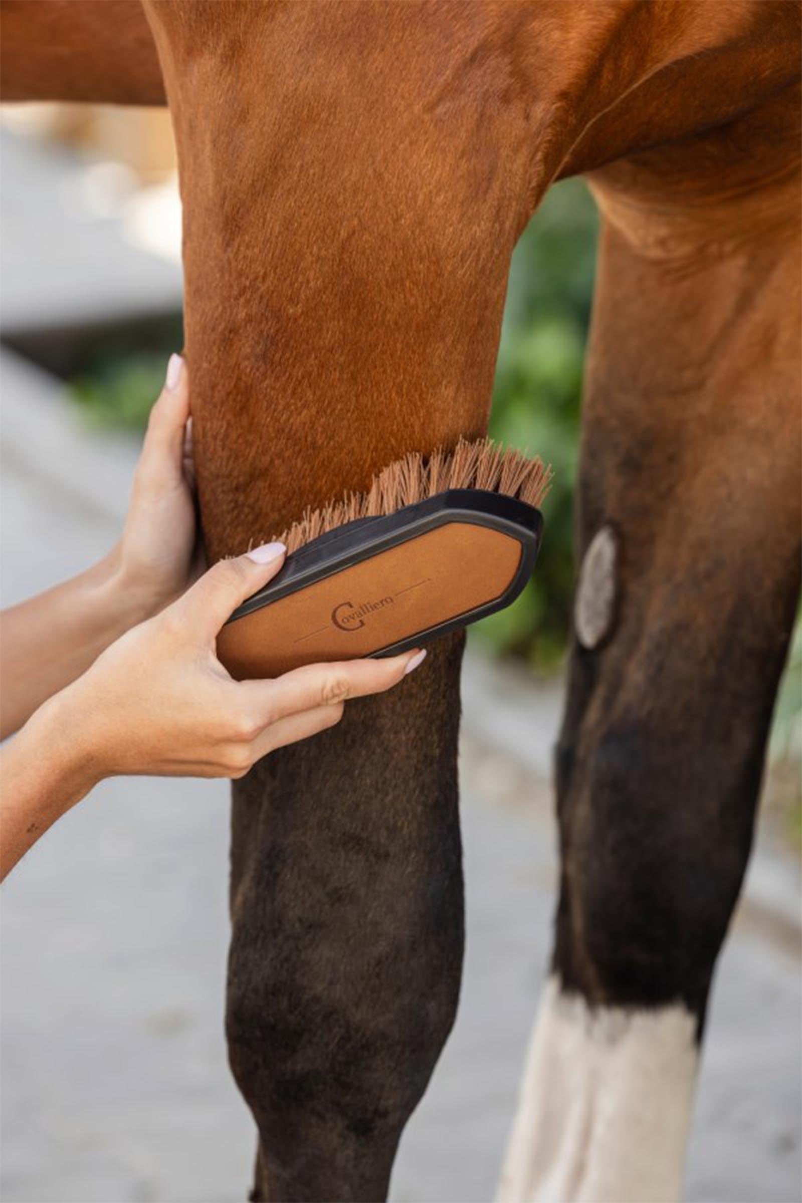 Covalliero Deluxe Scrubbing Brush Horse Grooming Tools