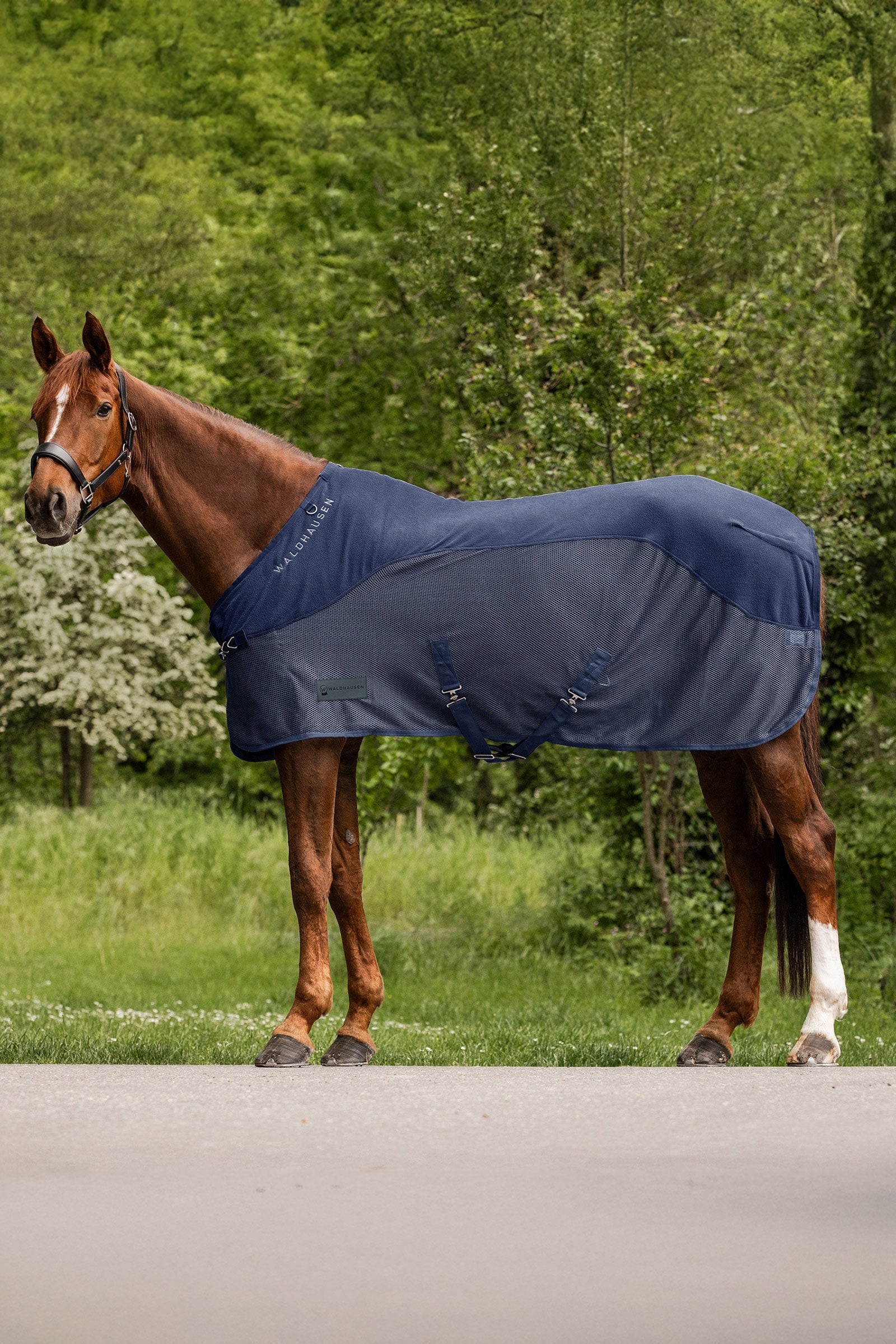 Waldhausen Comfort fleece vliegendeken Paardendekens