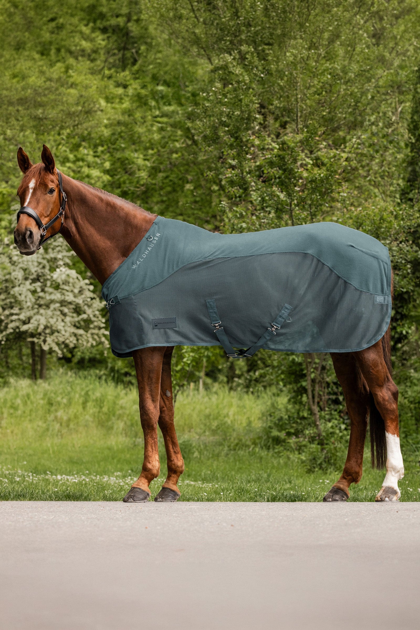 Waldhausen Comfort fleece vliegendeken Paardendekens