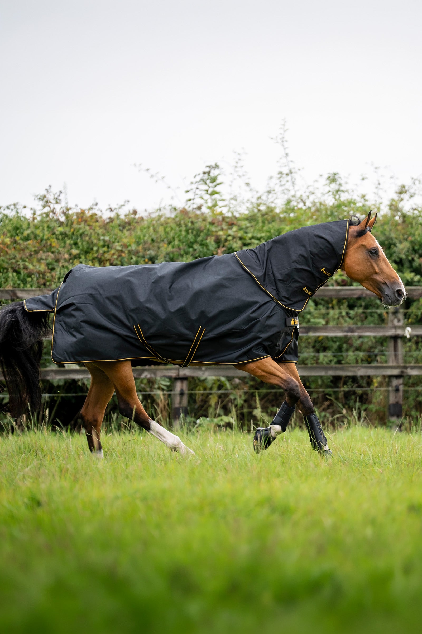 Bucas Irish Turnout 50 g Rug & Neck Horse Rugs