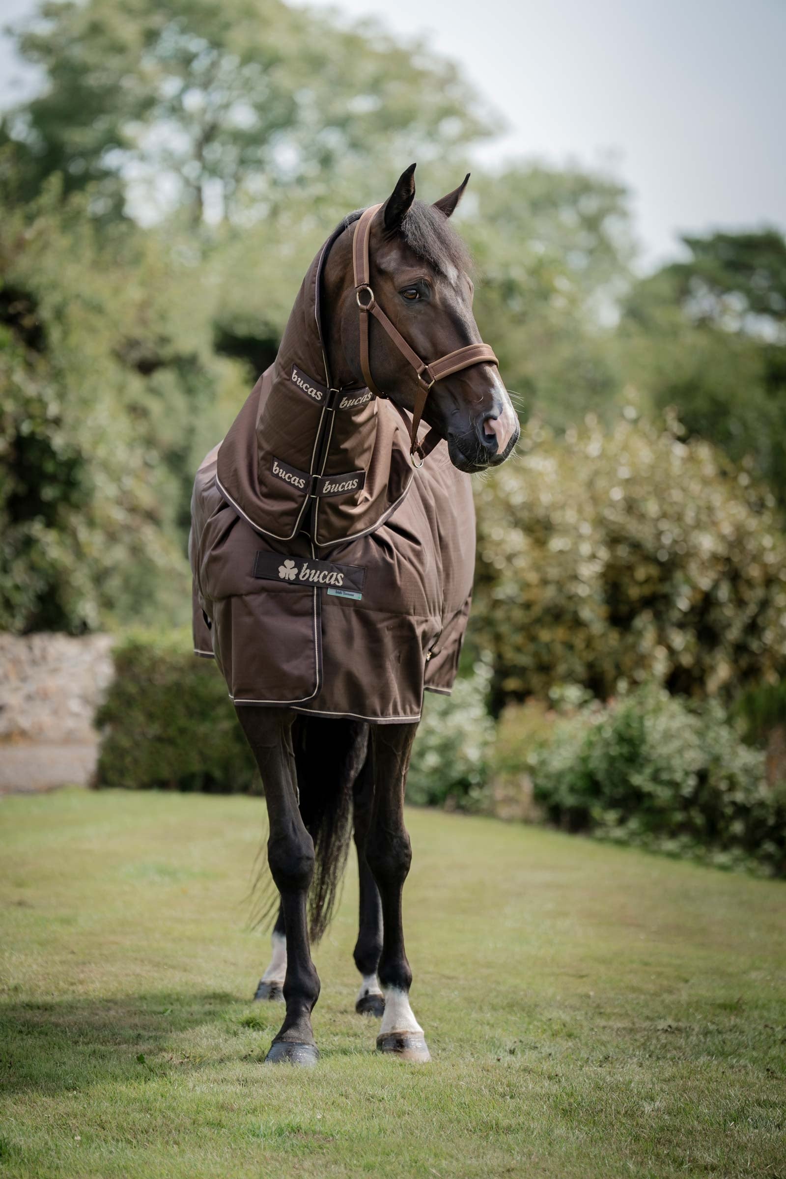 Bucas Irish Turnout 50 g Rug & Neck Paardendekens