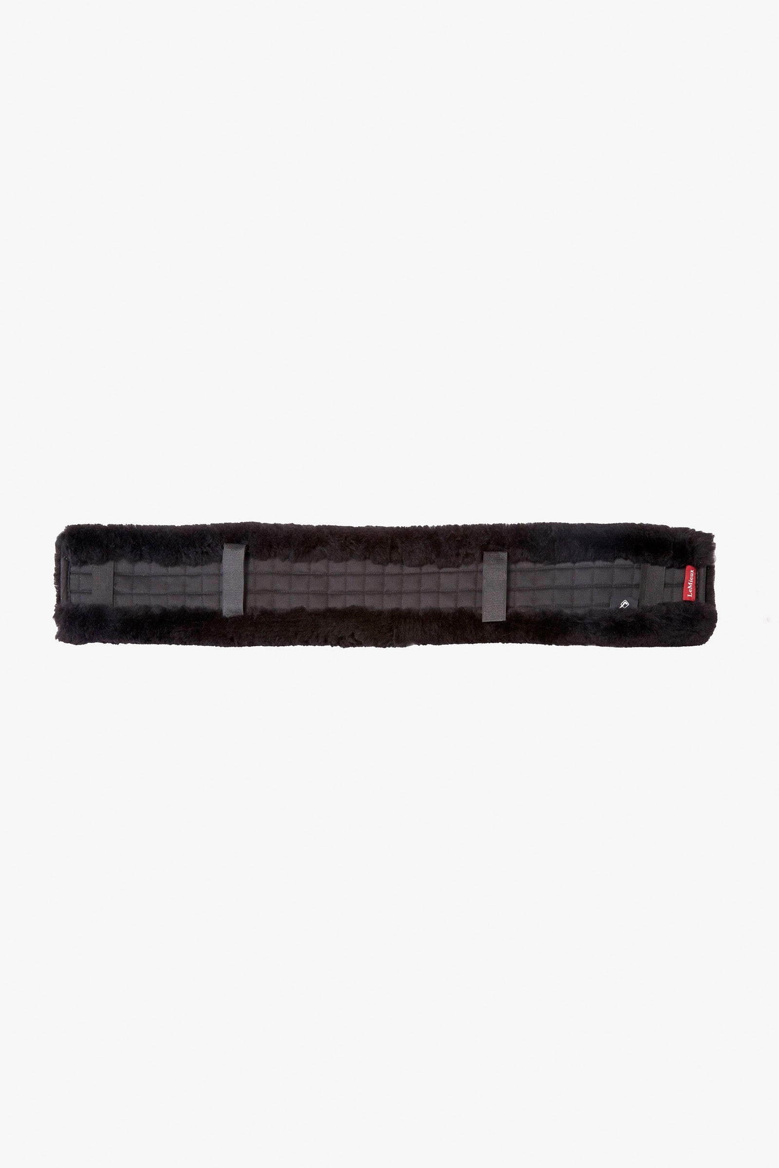 Alt Tag fallback text for IMAGE
