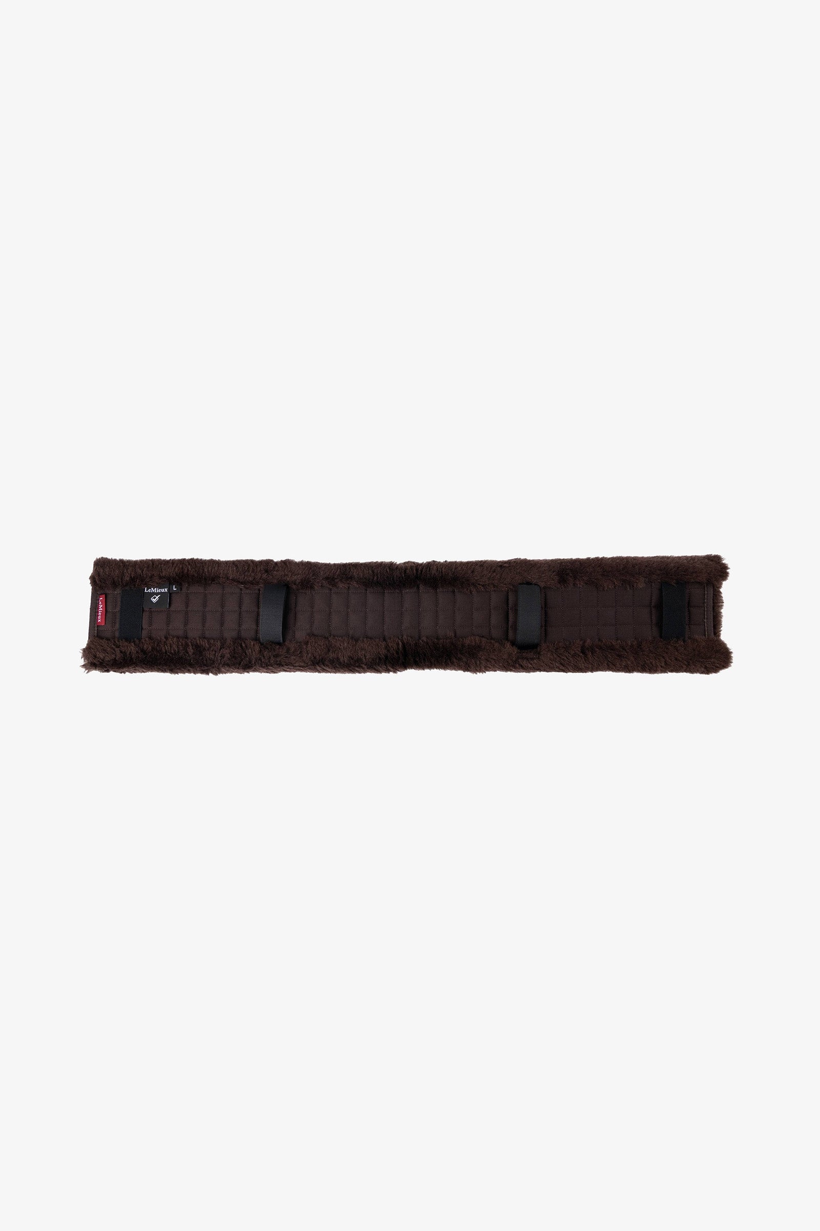Alt Tag fallback text for IMAGE