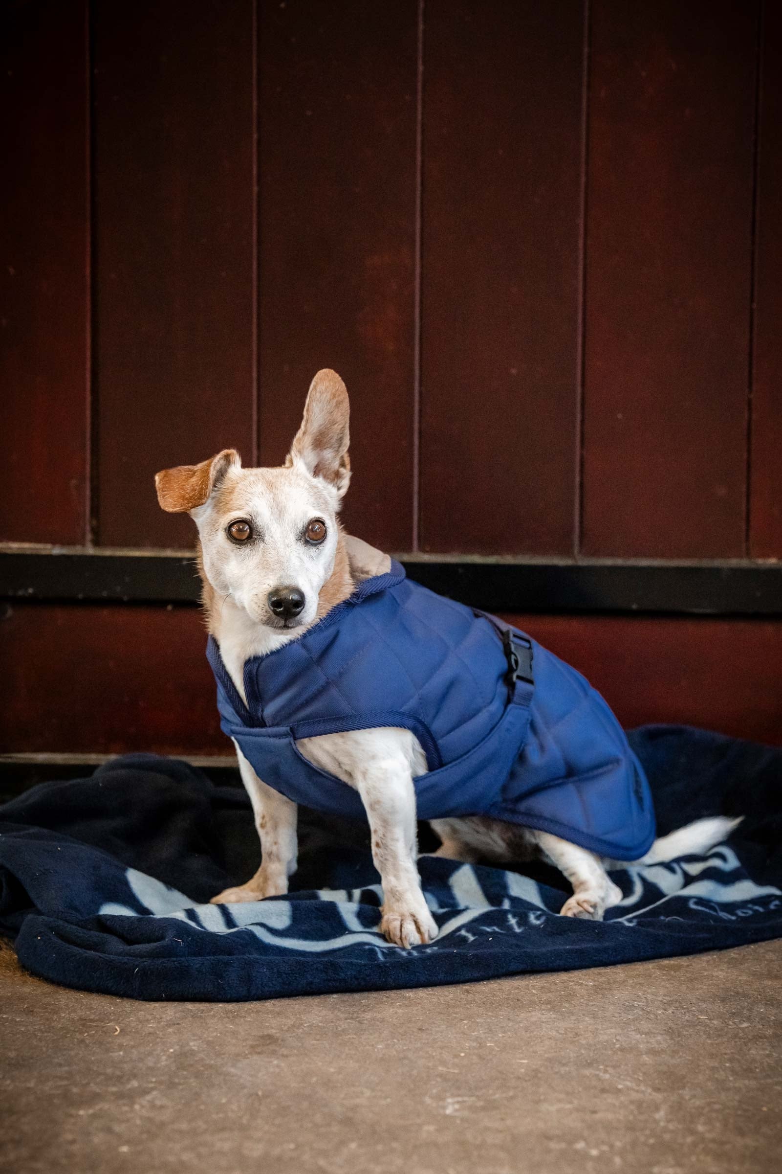 Bucas Cosy Dog Rug Hond