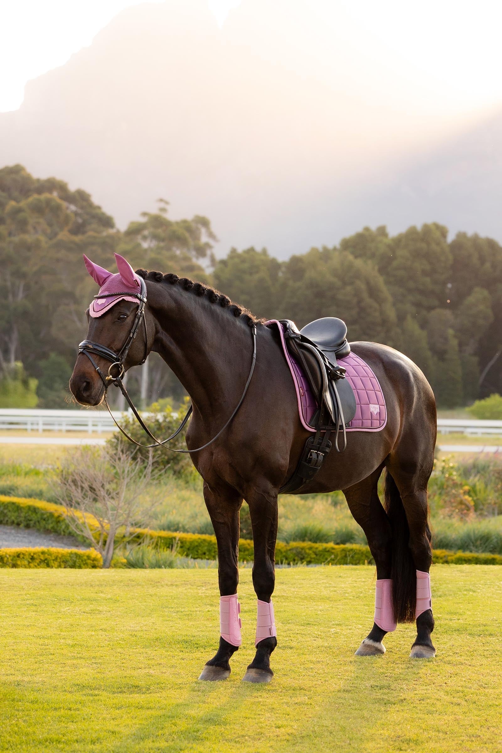 LeMieux Loire Classic Square Dressage Saddle Pad Saddle Pads