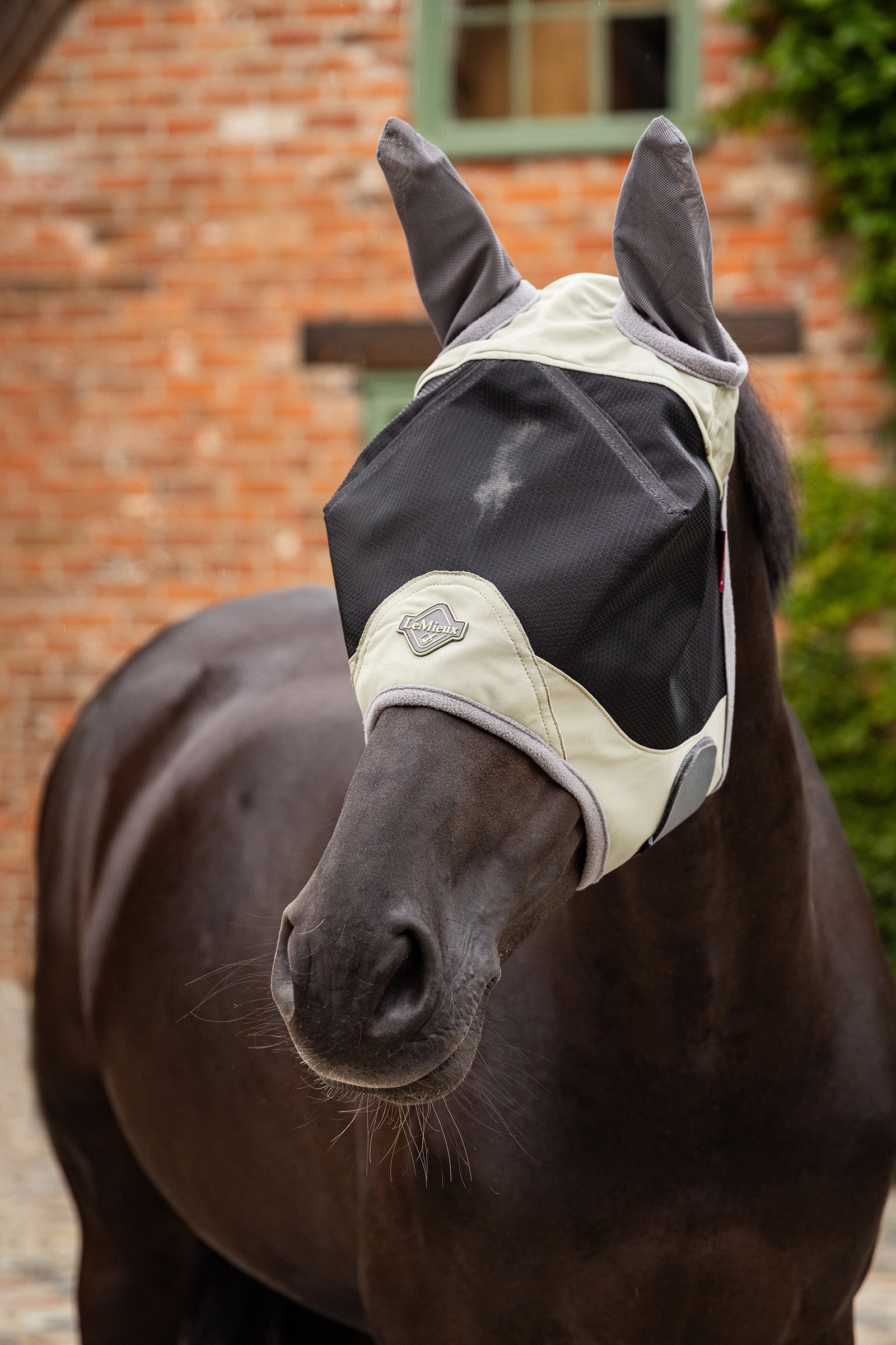 LeMieux Visor-Tek Half Fly Mask Antifly Protection for Horses