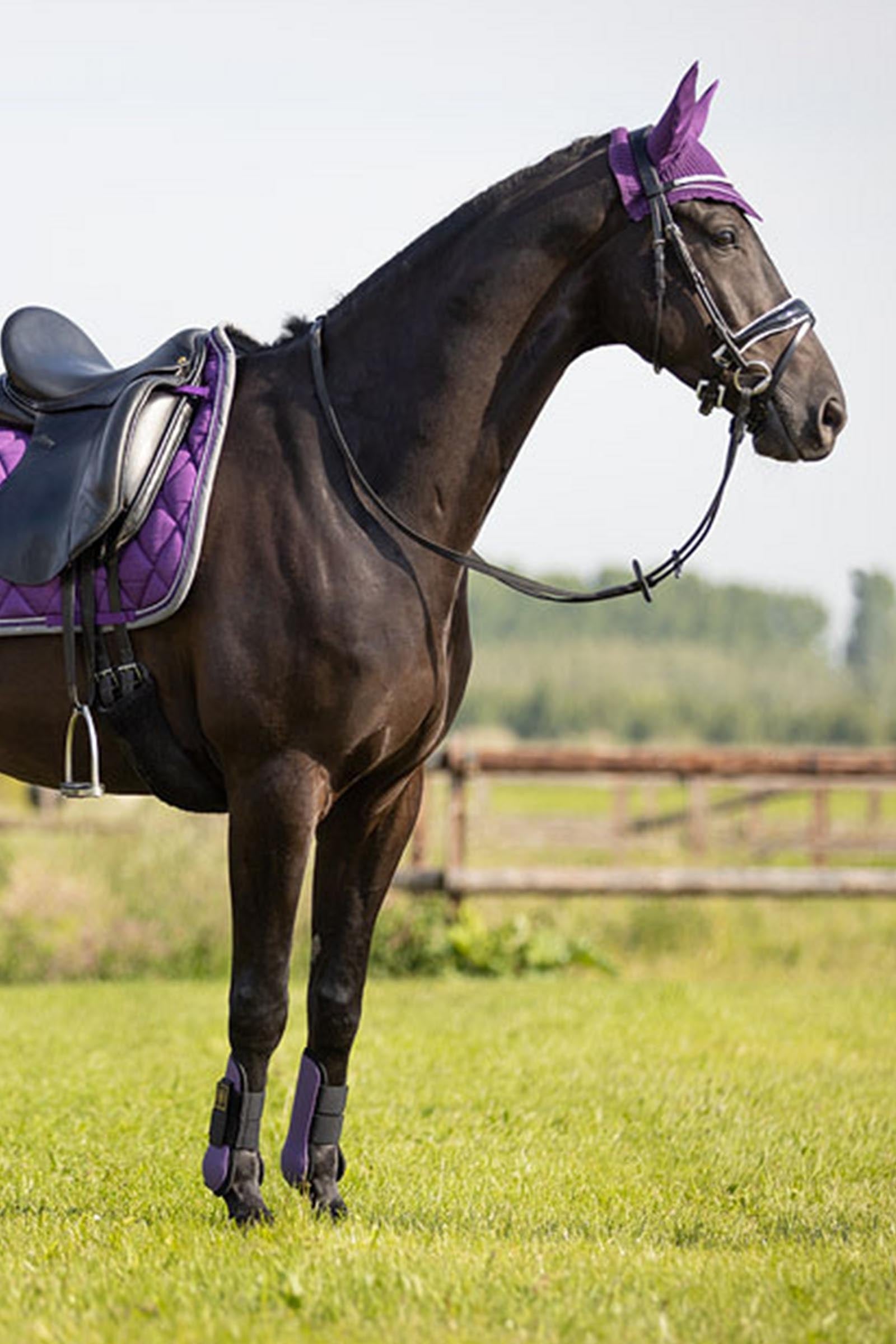 BR Event Tendon Boots Leg Protection & Hoof Protection for Horses