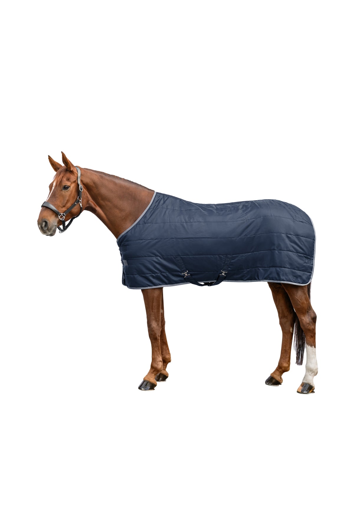 Waldhausen ECONOMIC 420D Staldeken, 300 g Paardendekens
