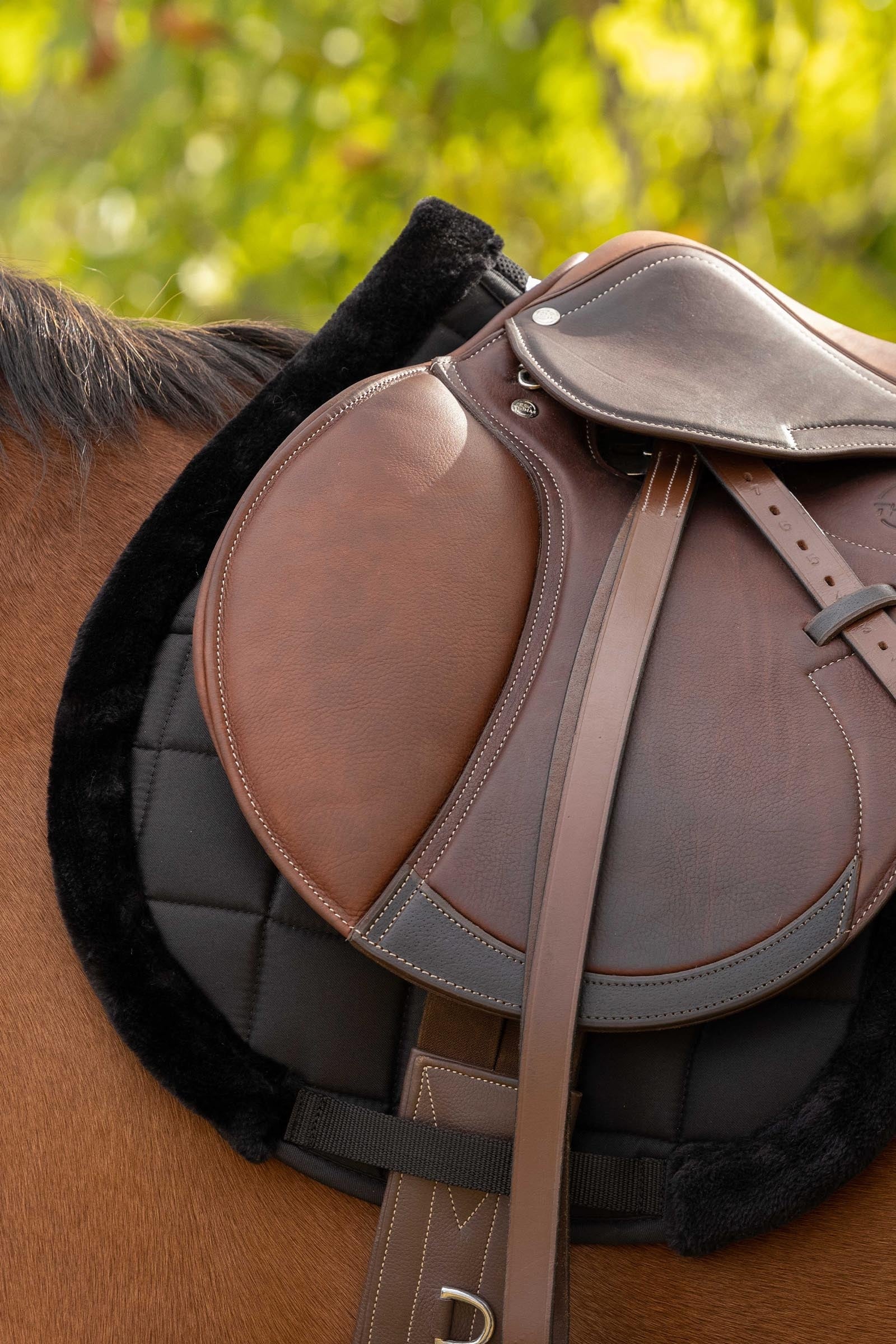 EQUITHÈME Pro Shaped Saddle Pad Saddle Pads