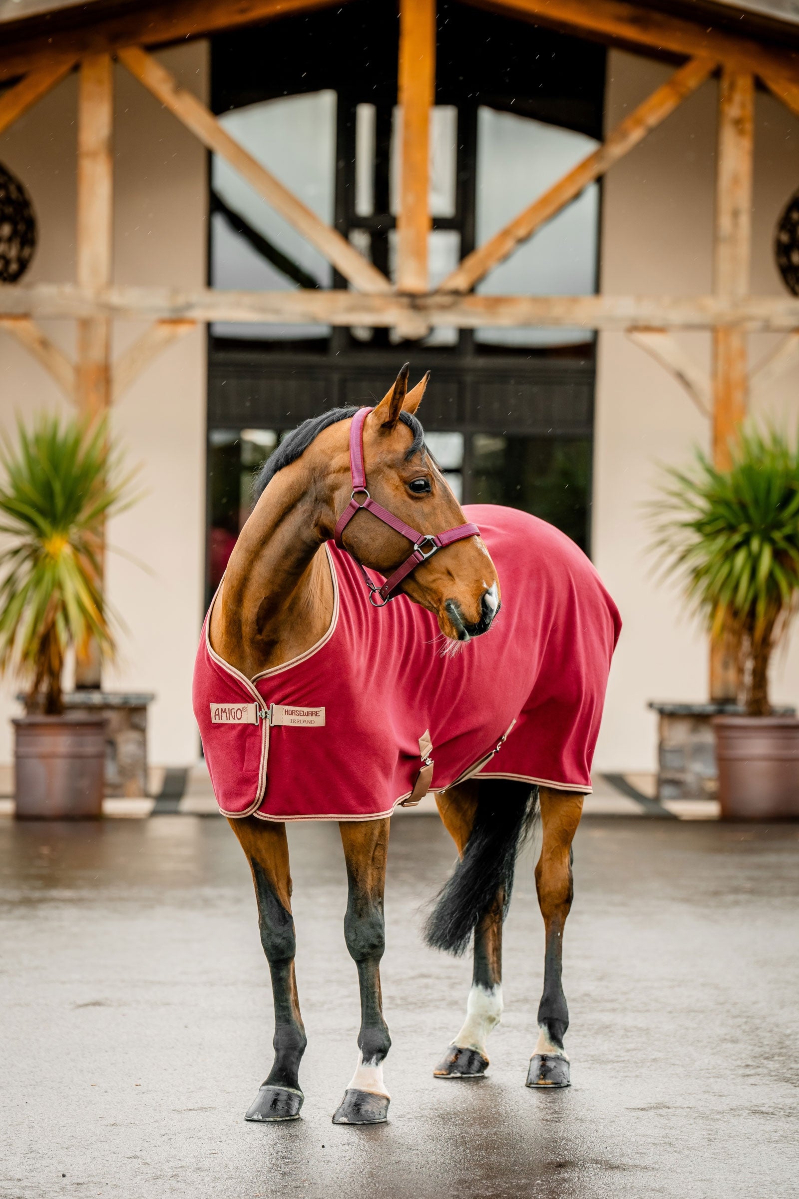 Horseware Amigo Fleecedeken Paardendekens