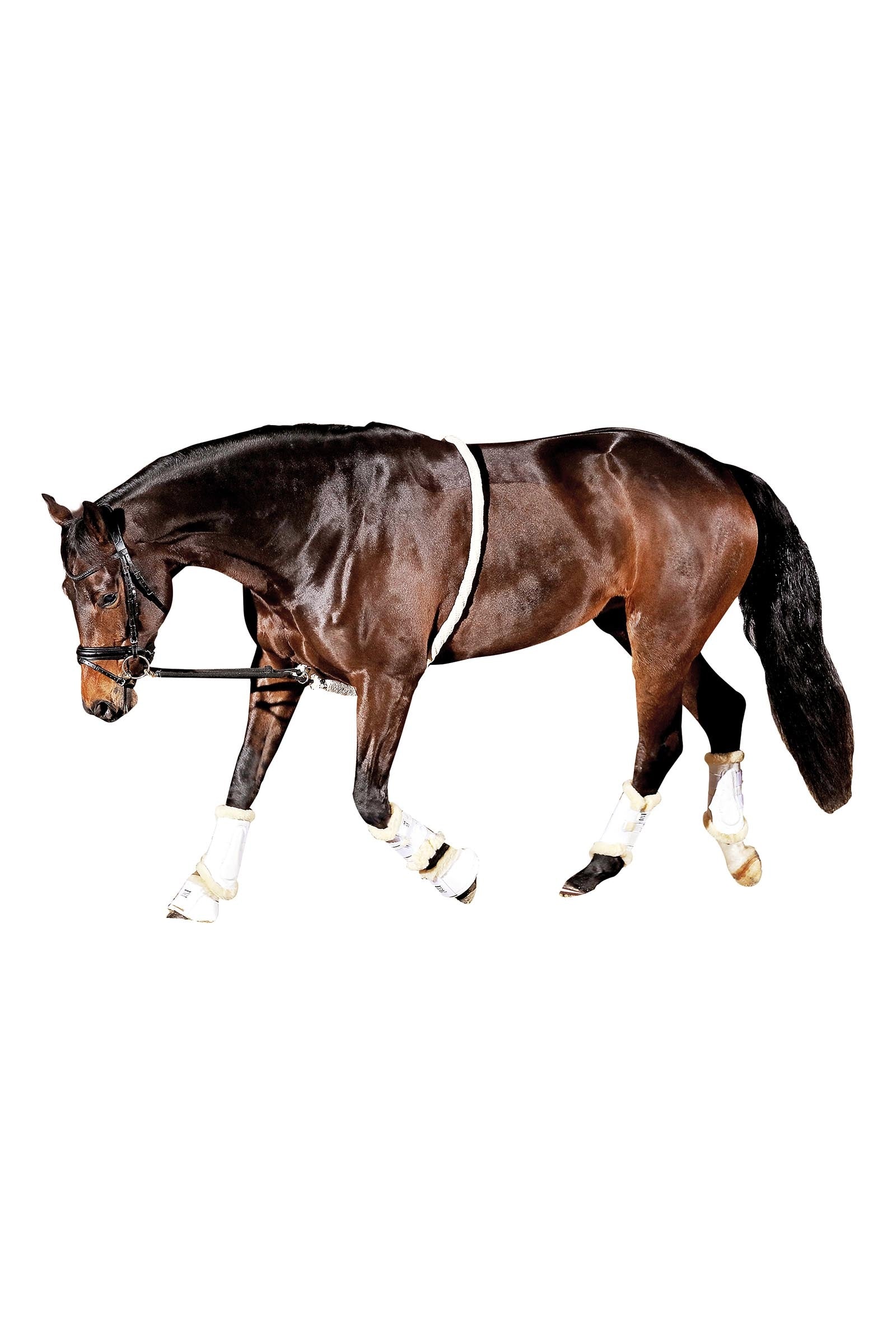 Horse Guard HorseGuard Soft Lunging Aid Longeren & Longeerhulp