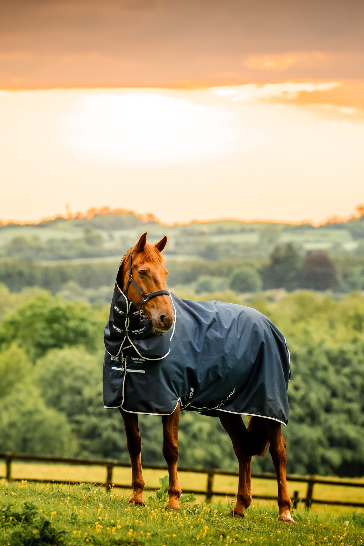 Horseware Amigo Ripstop 900D Plus Pony Turnout Rug, 0 g Horse Rugs