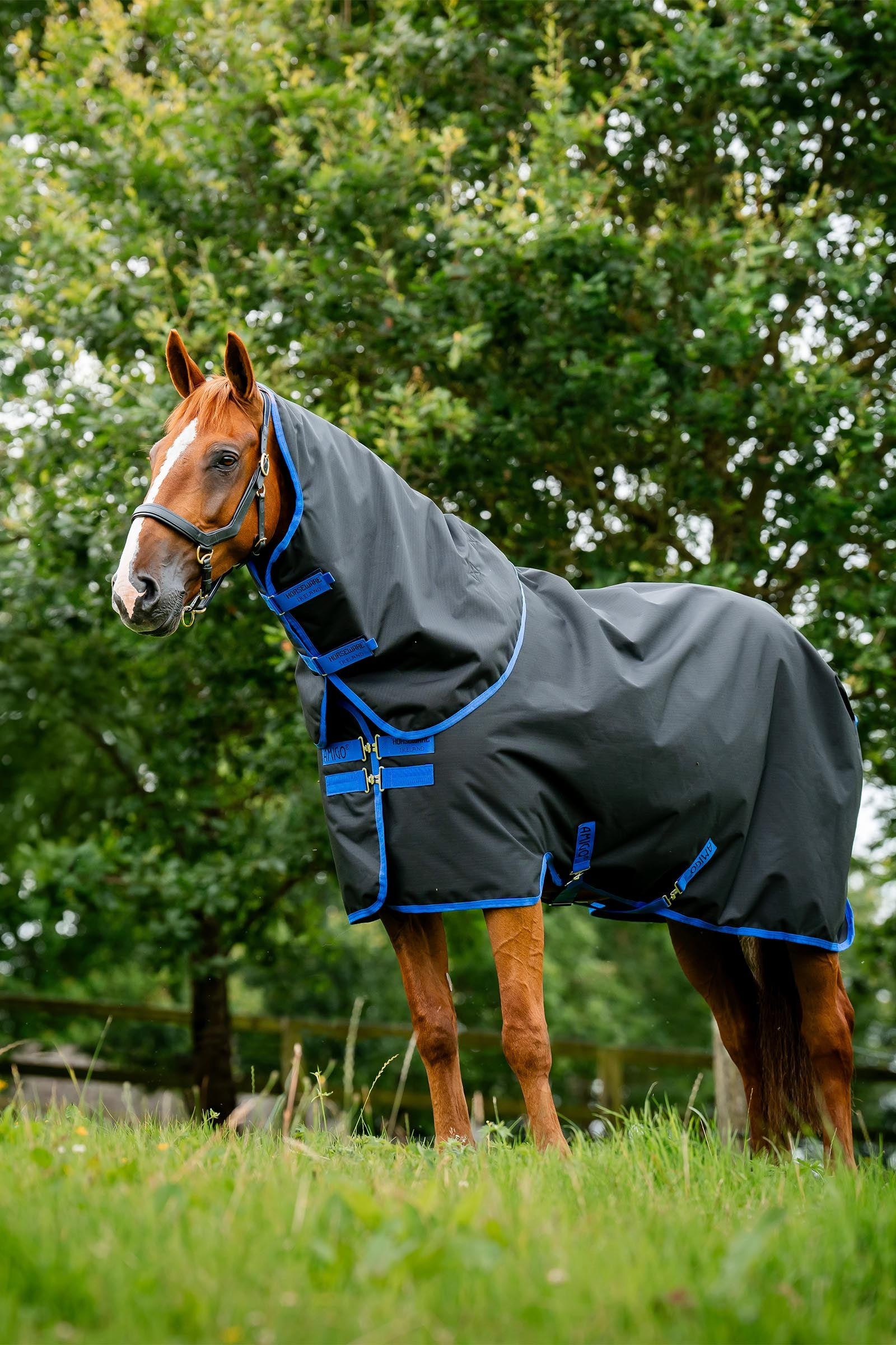 Horseware Amigo Ripstop 900D Plus turnoutdeken, 200 g Paardendekens