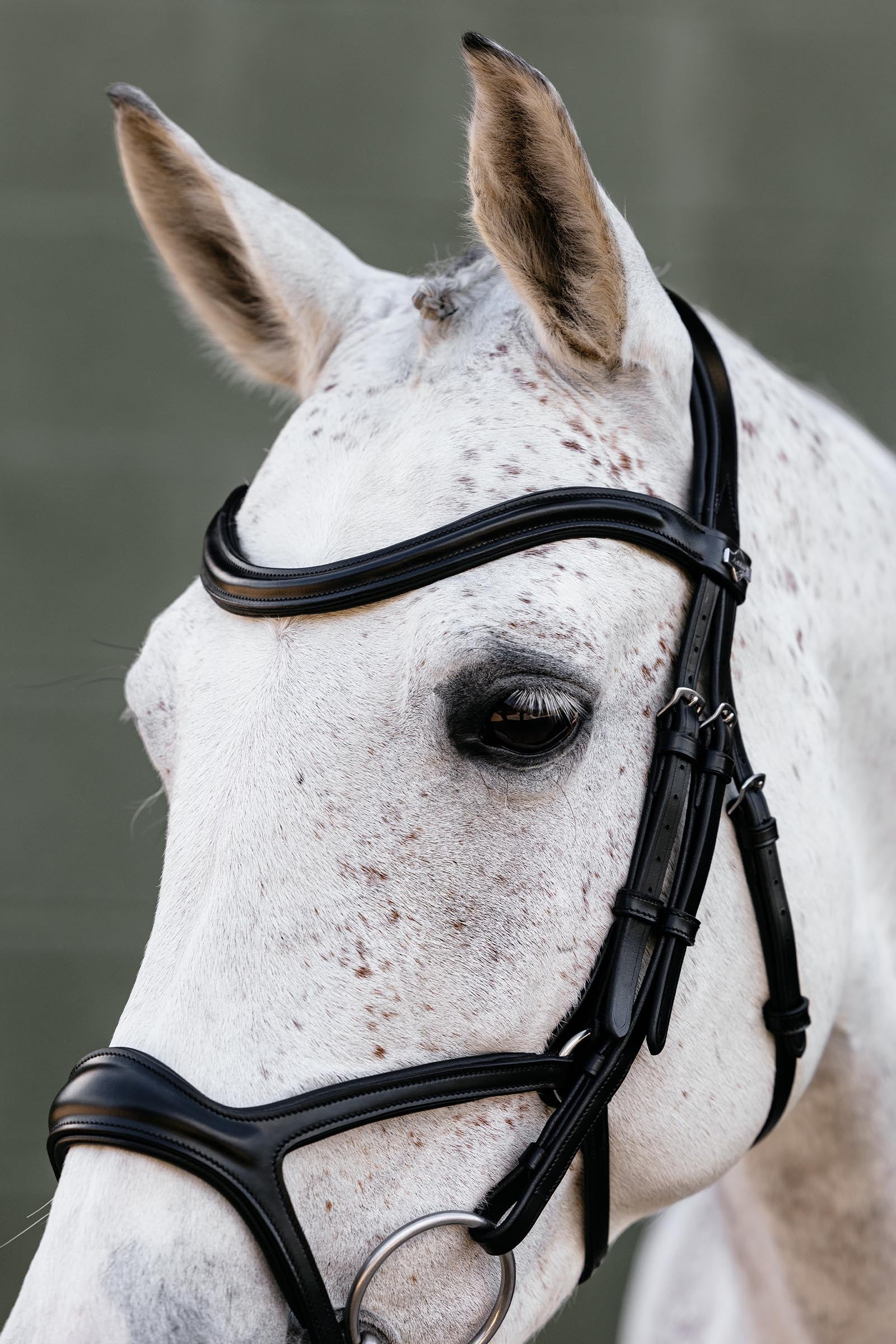 LeMieux Kudos Sport Bridle Bridles & Reins