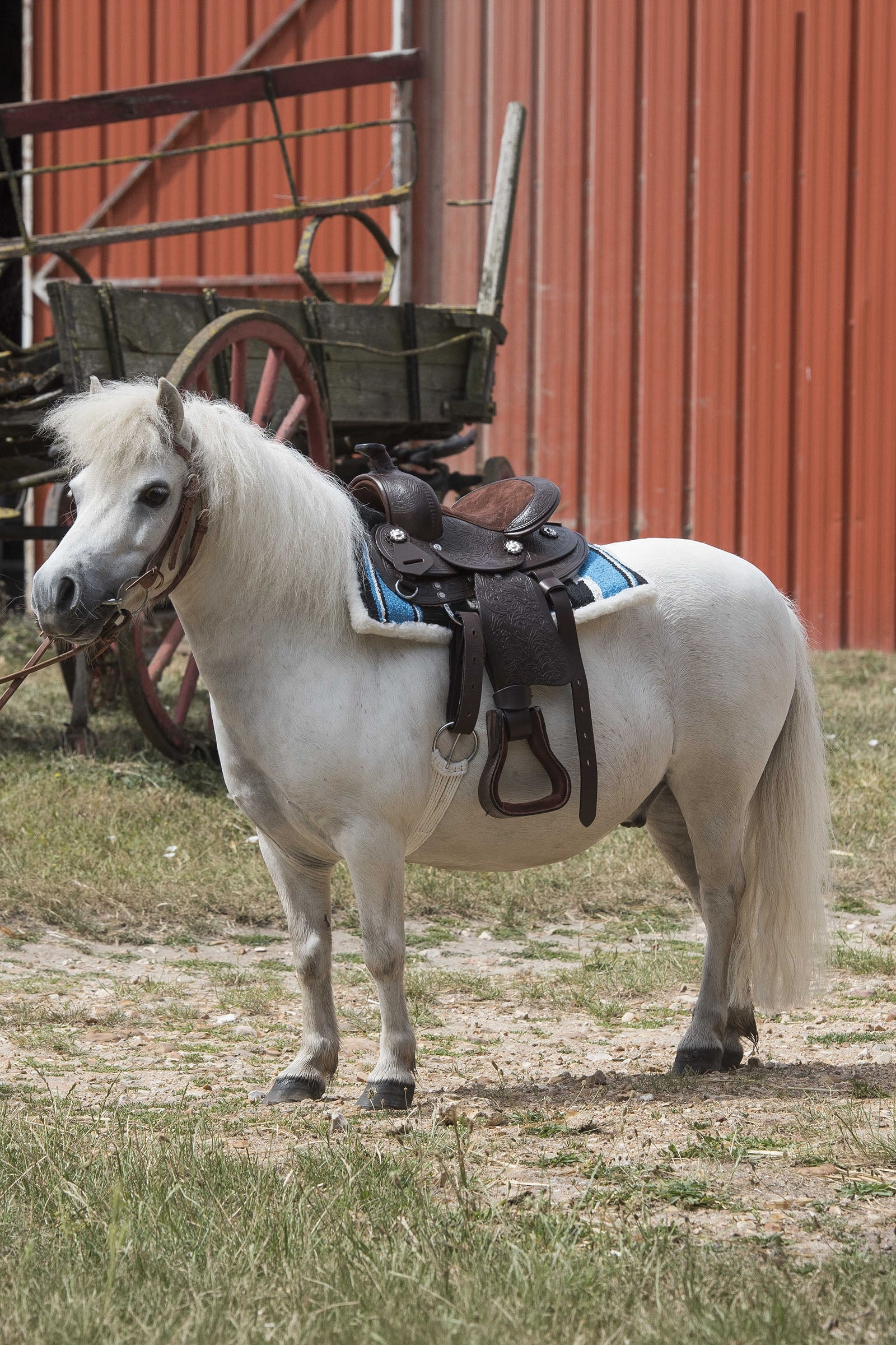 WESTRIDE Quilted Navajo Saddle Pad Saddle Pads